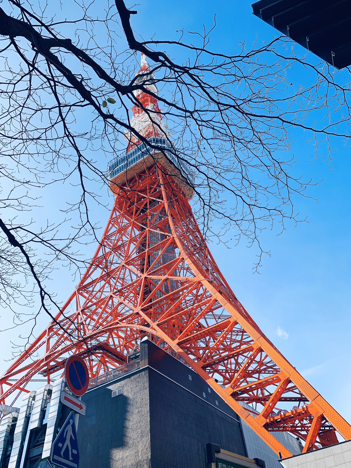 東京自助遊攻略