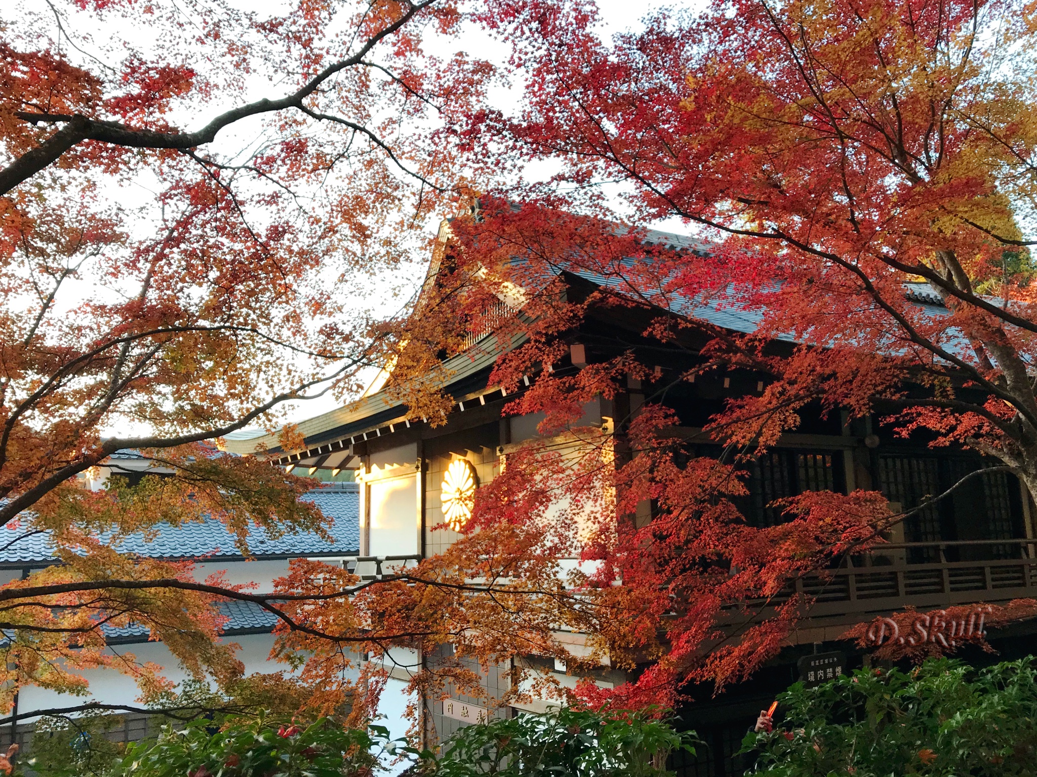 京都自助遊攻略