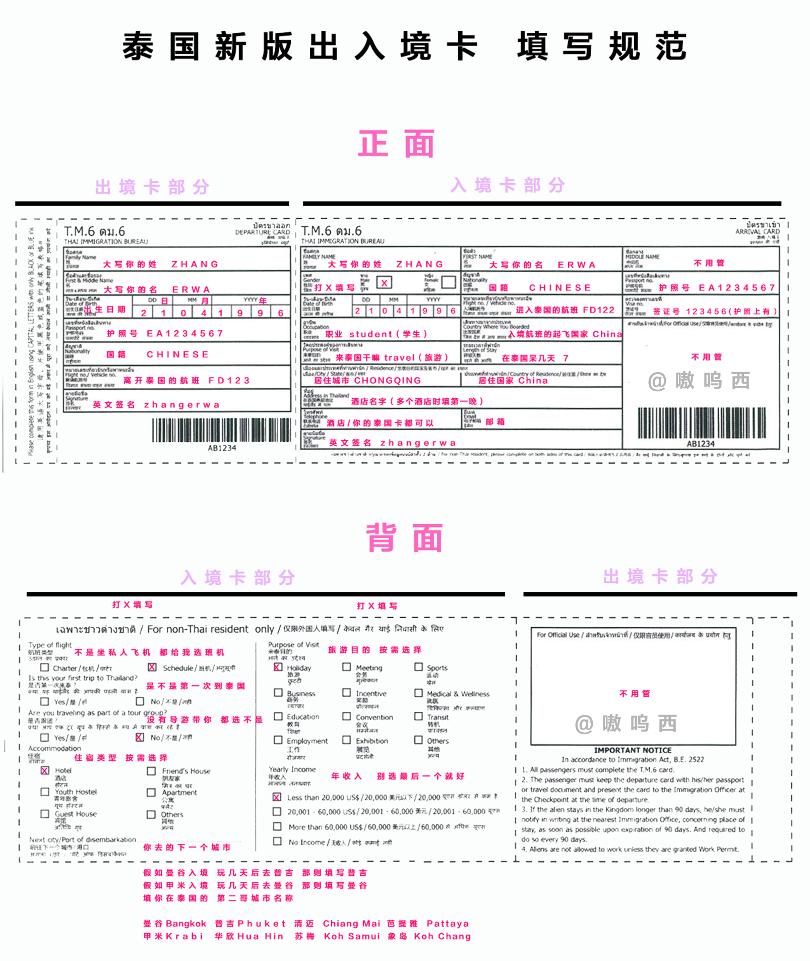 象島自助遊攻略