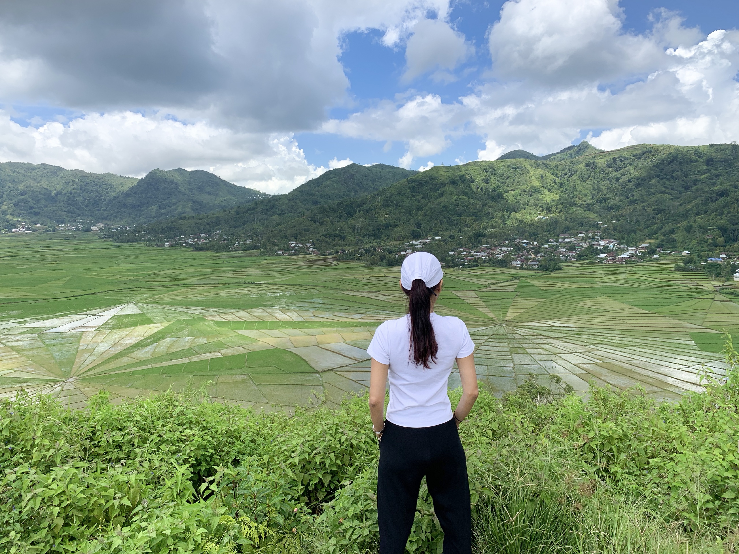 东努沙登加拉娱乐-Lingko Spider Web Rice Fields - Walking Tours