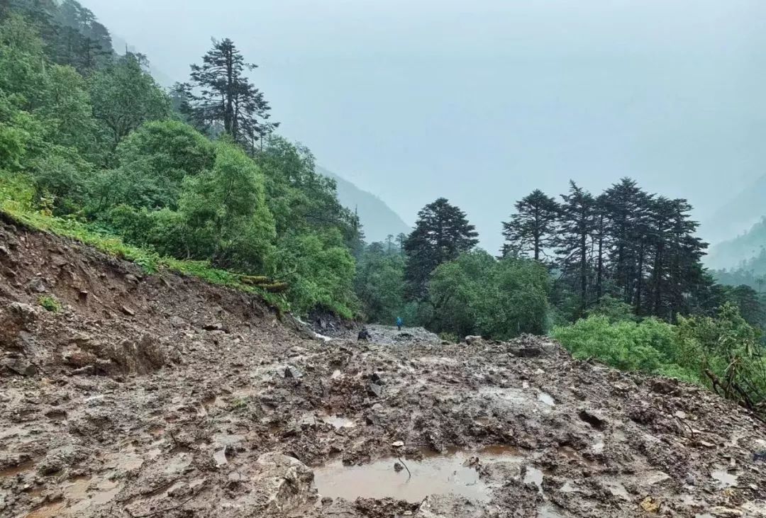 墨脱:蚂蟥也吓不退的中国经典徒步线路