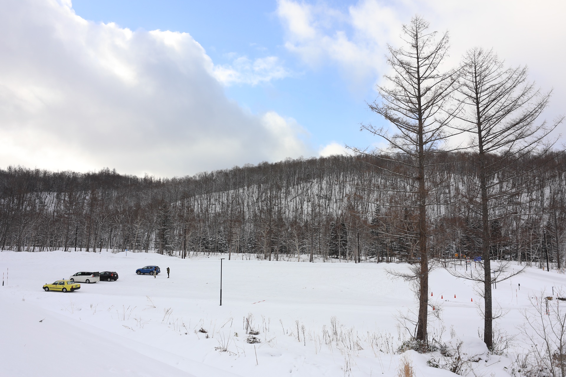 北海道自助遊攻略