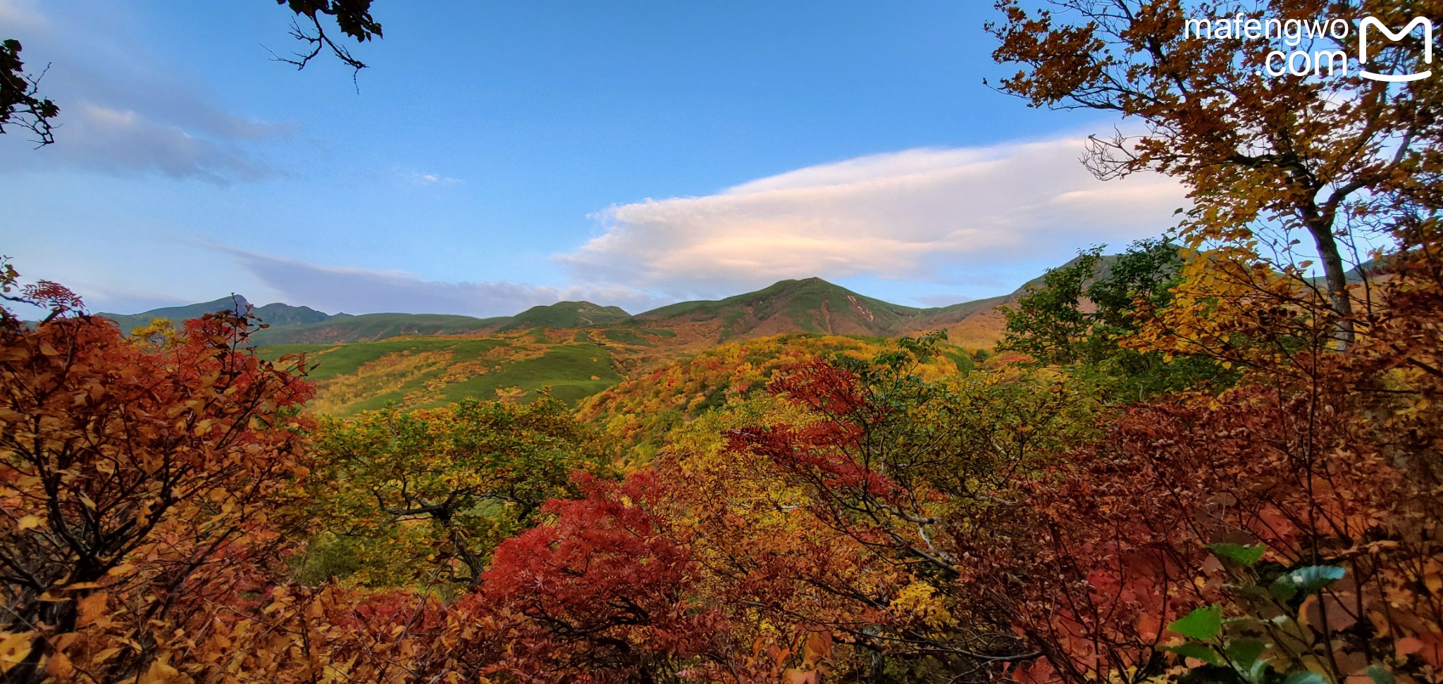 北海道自助遊攻略