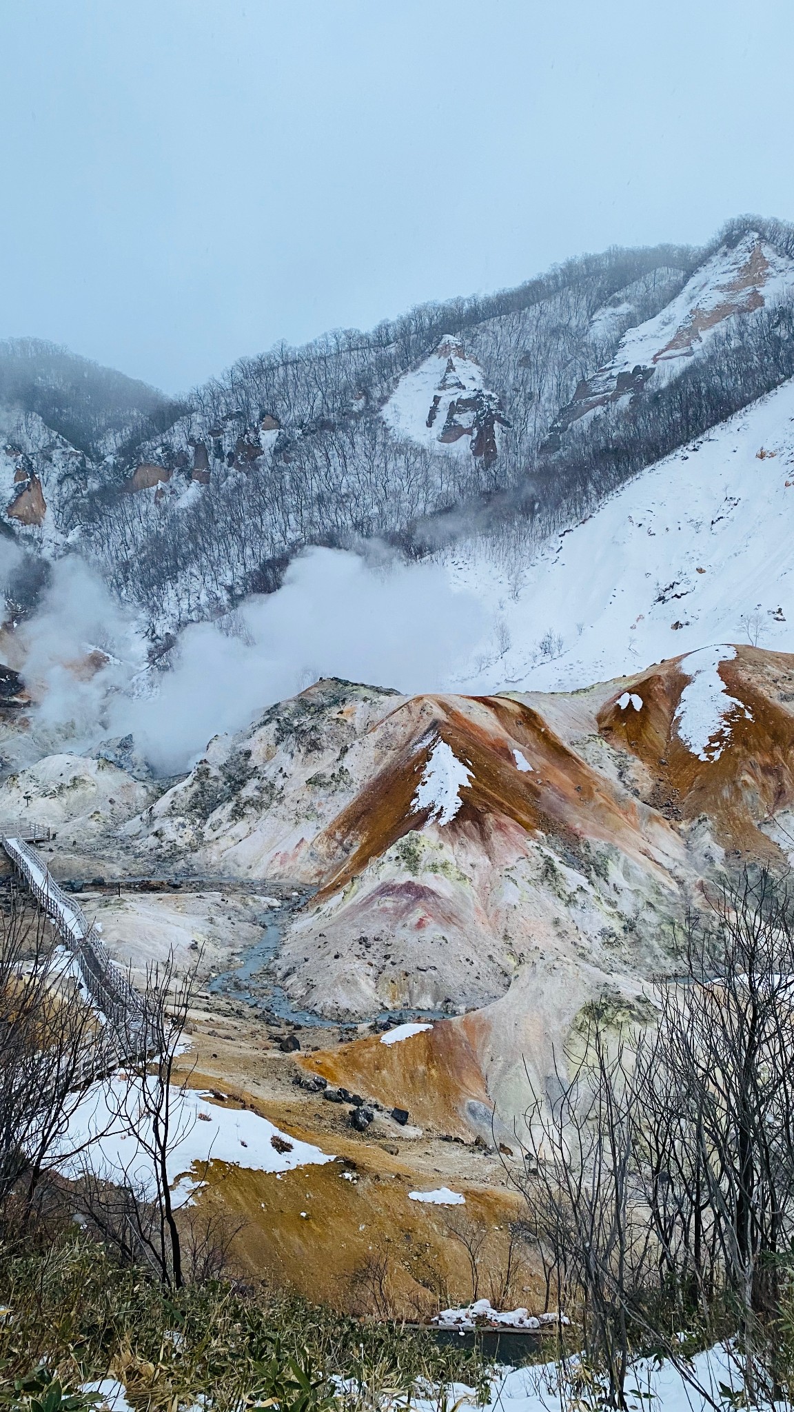 北海道自助遊攻略