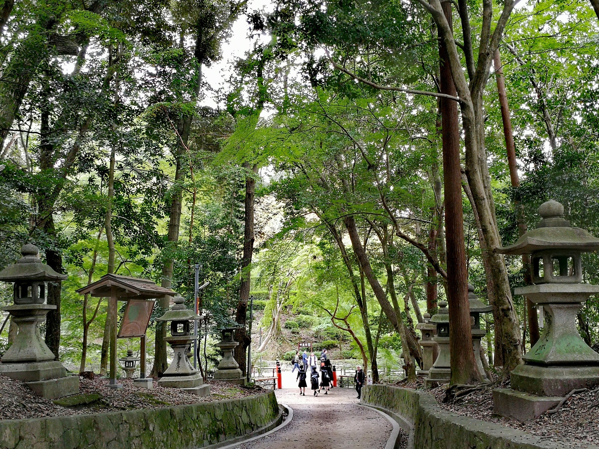 京都自助遊攻略