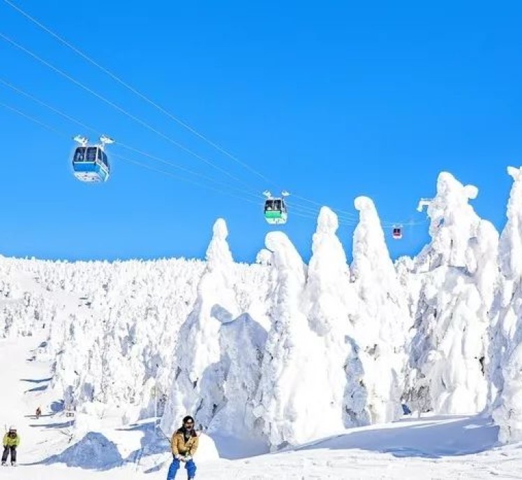 春节要去藏王滑雪度假 一份超强雪道攻略送给你 手机马蜂窝