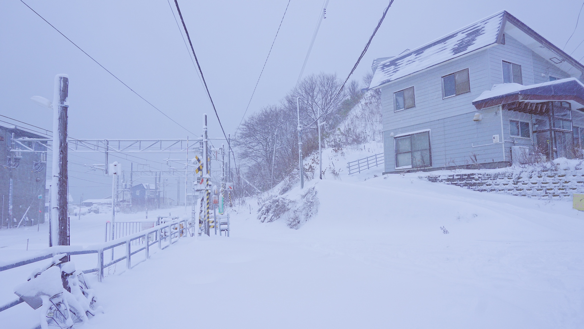 北海道自助遊攻略