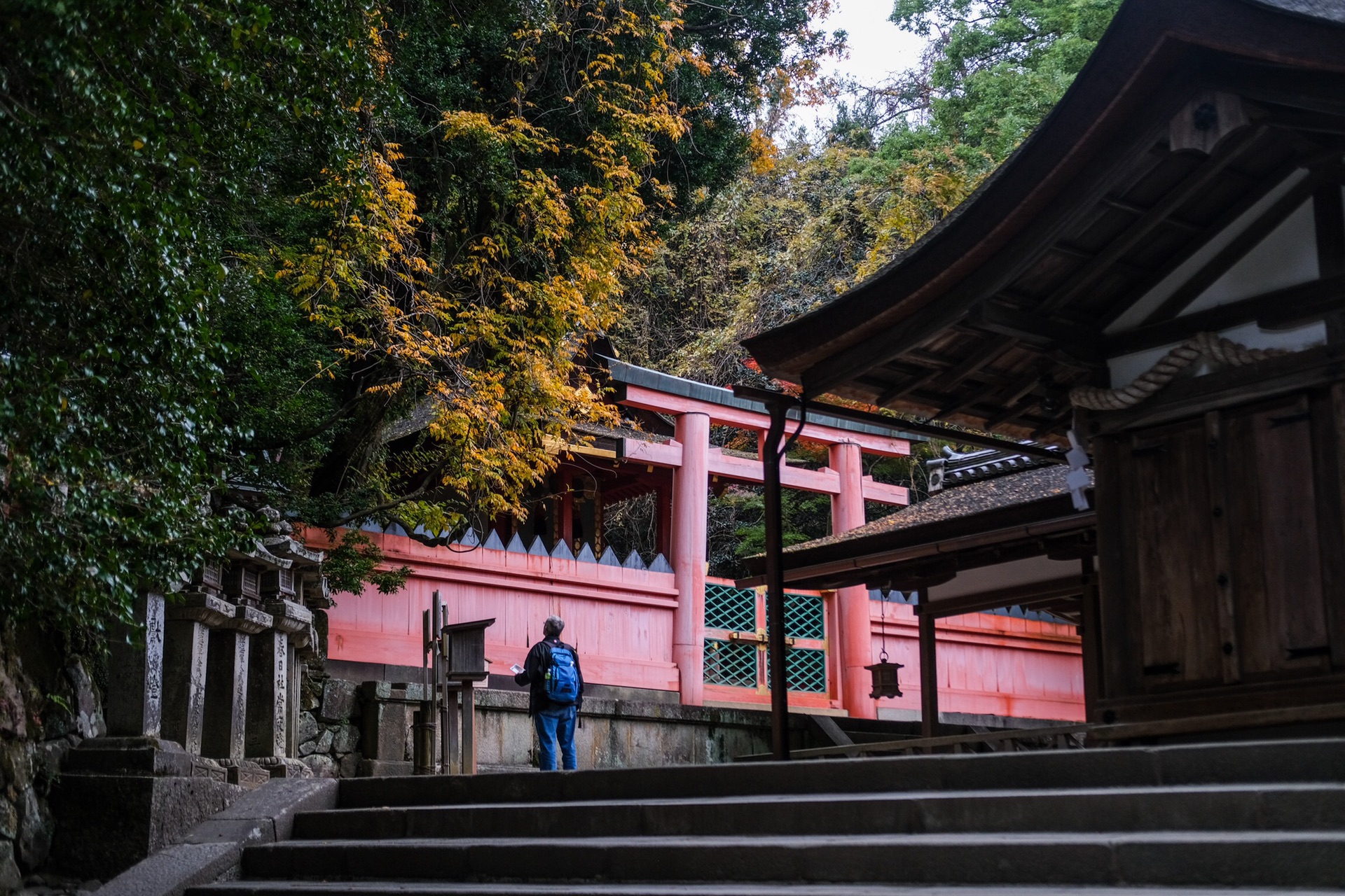 京都自助遊攻略