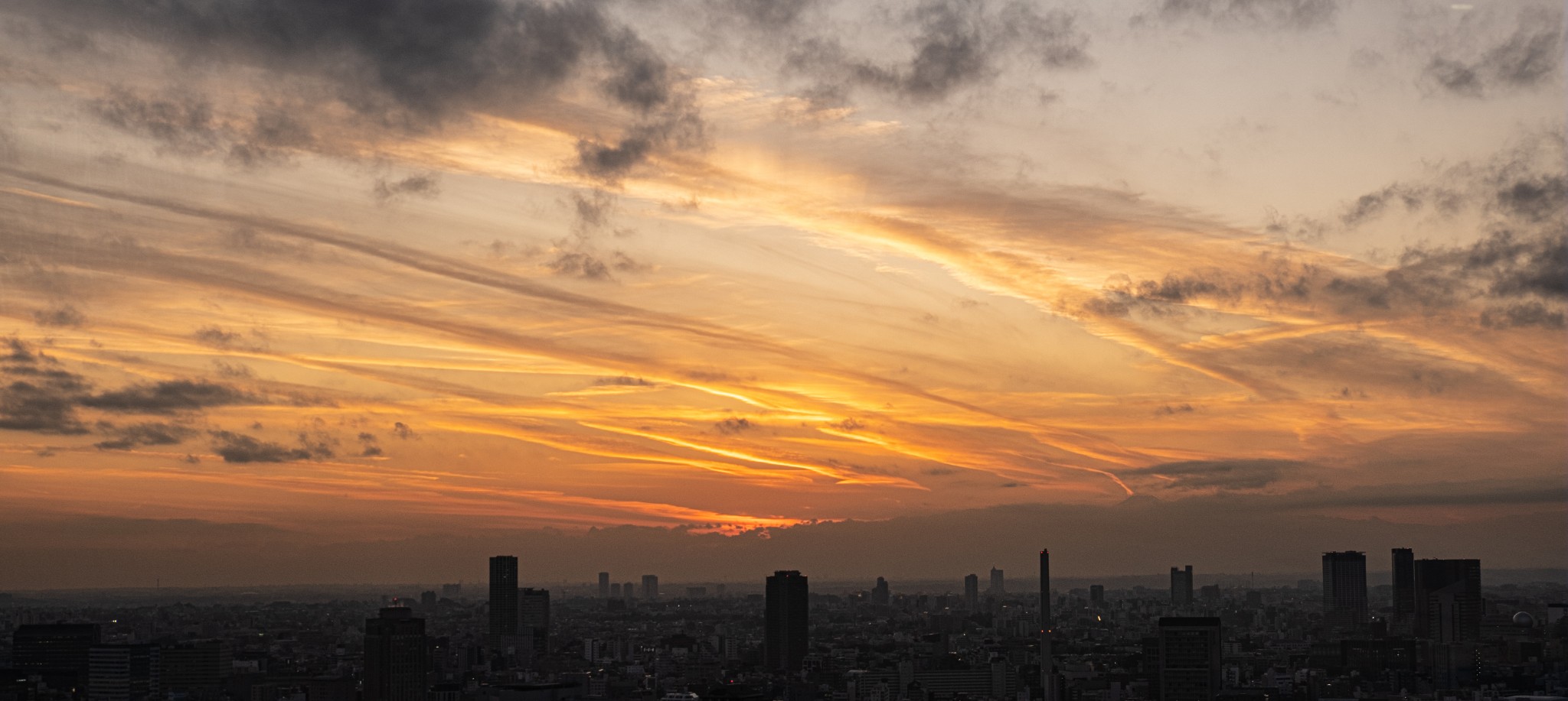 東京自助遊攻略