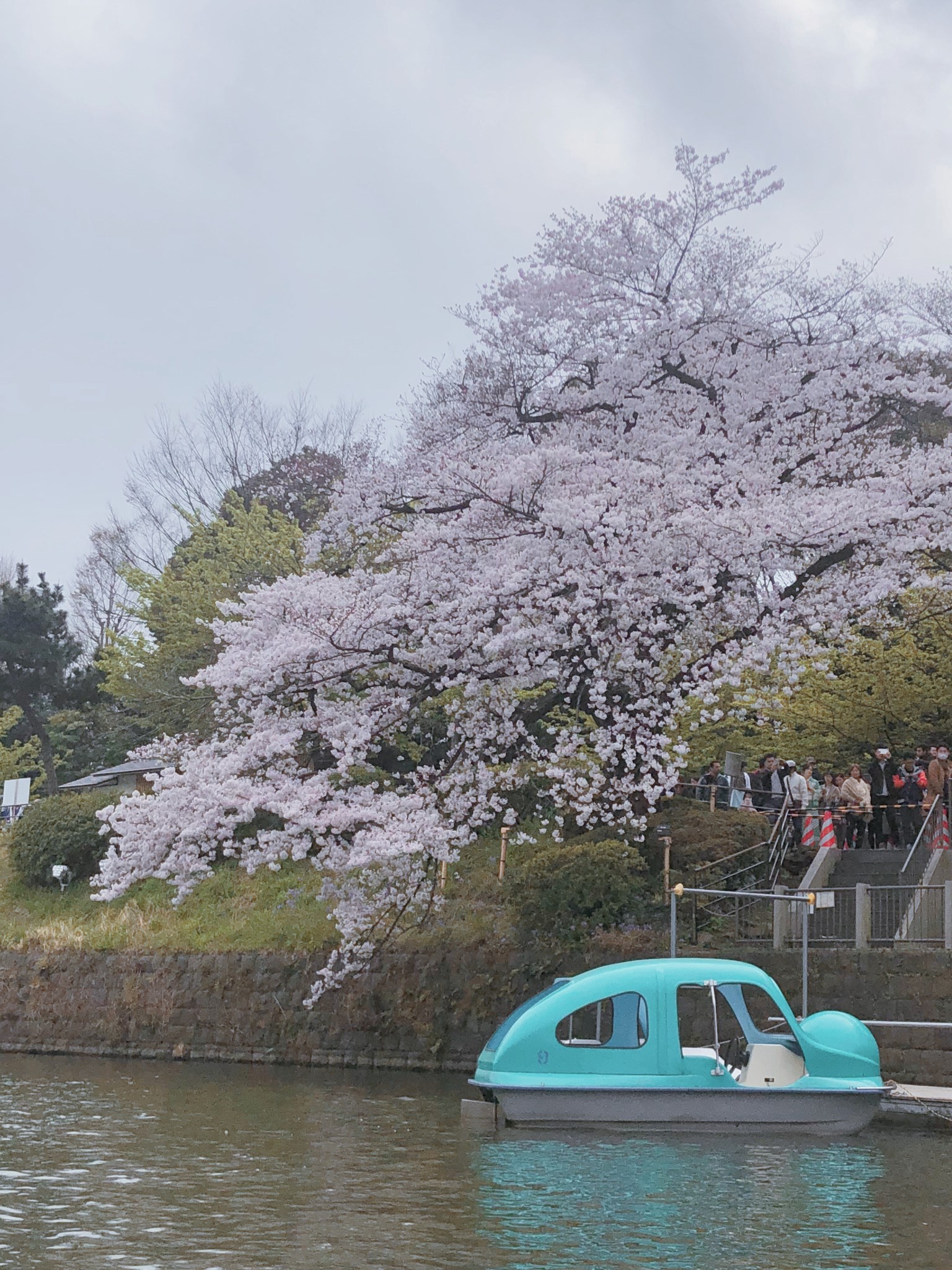 東京自助遊攻略