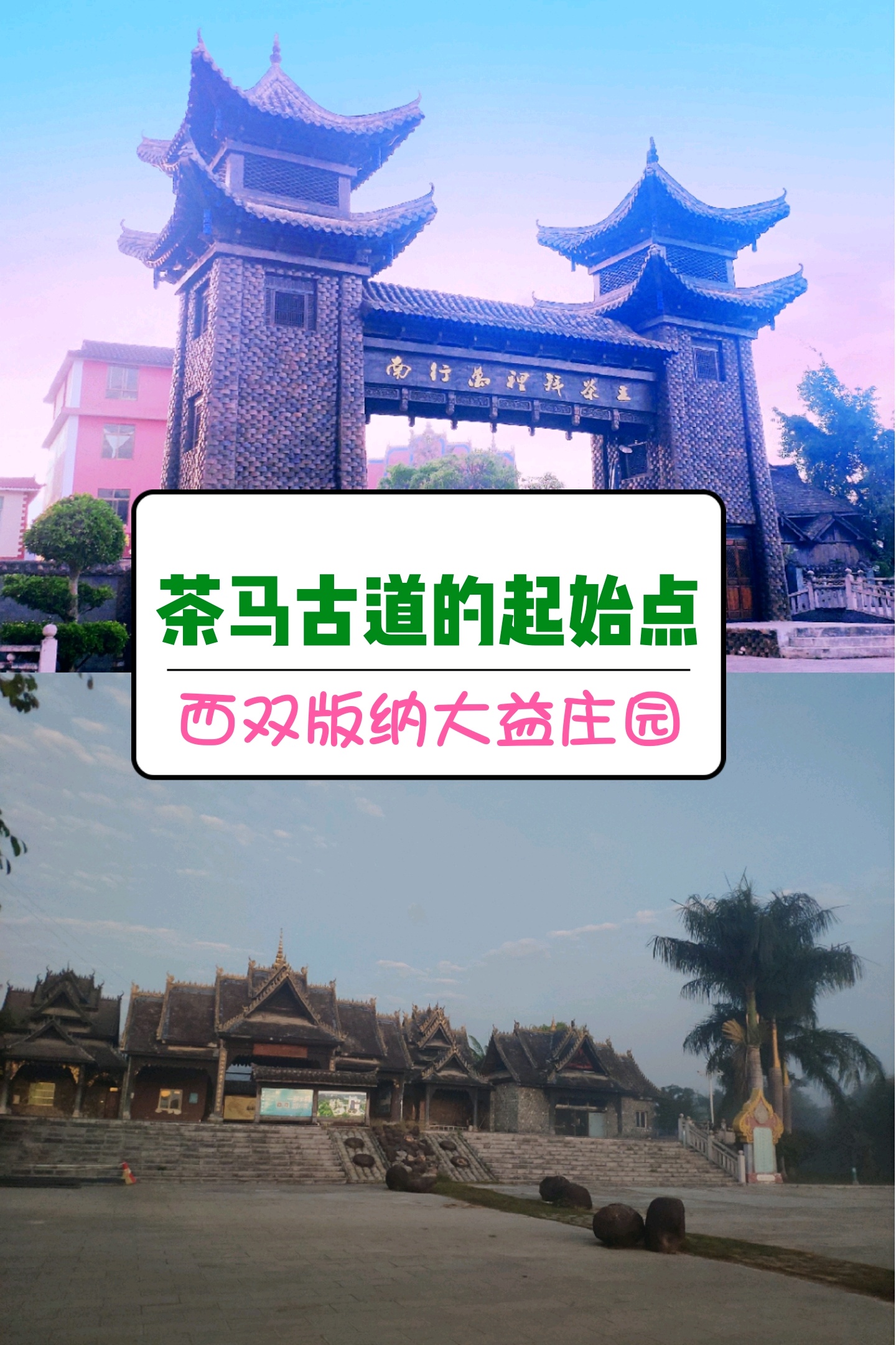 🍃西双版纳大益庄园,古老的茶马古道从这里开始