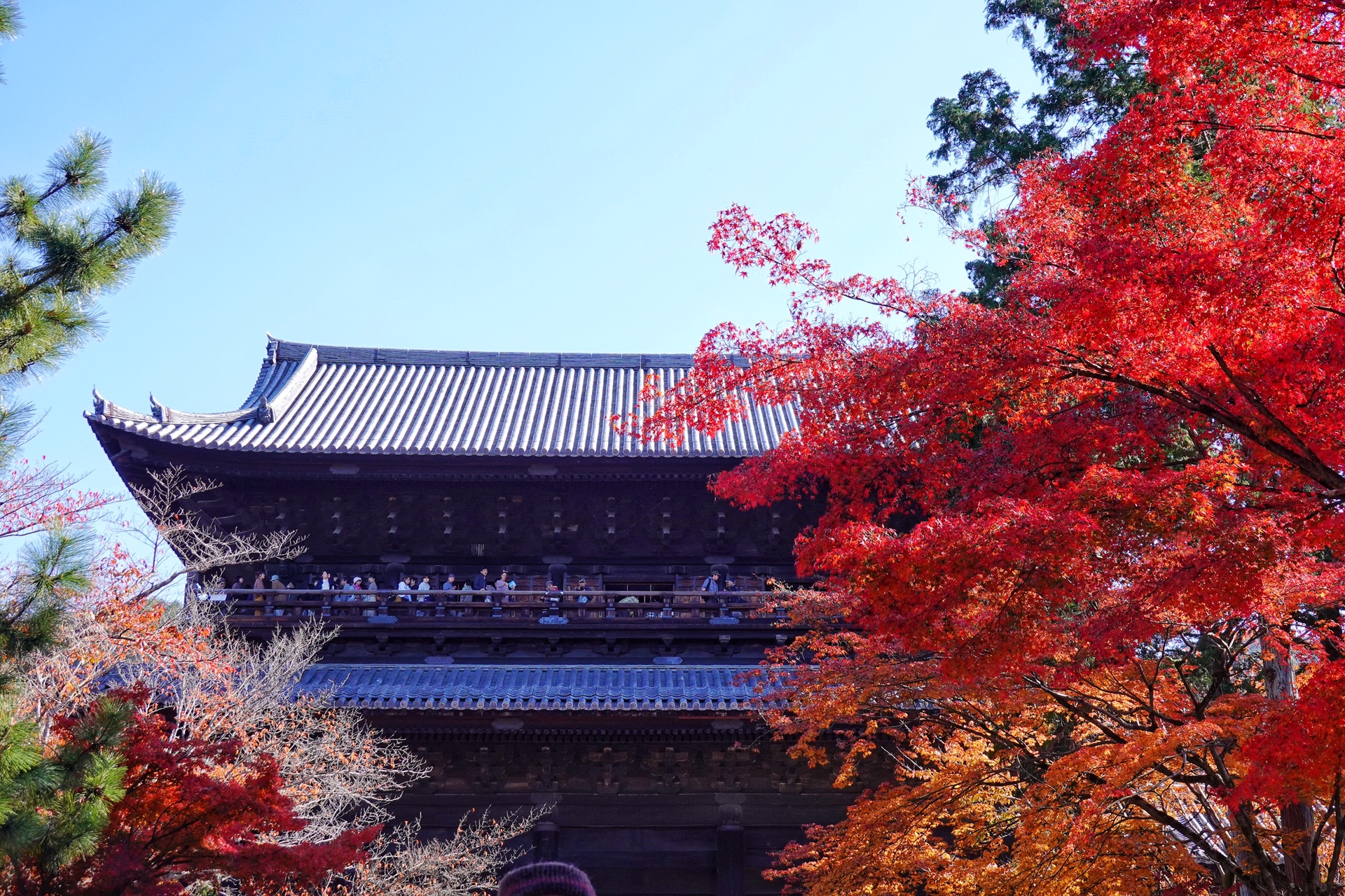 京都自助遊攻略