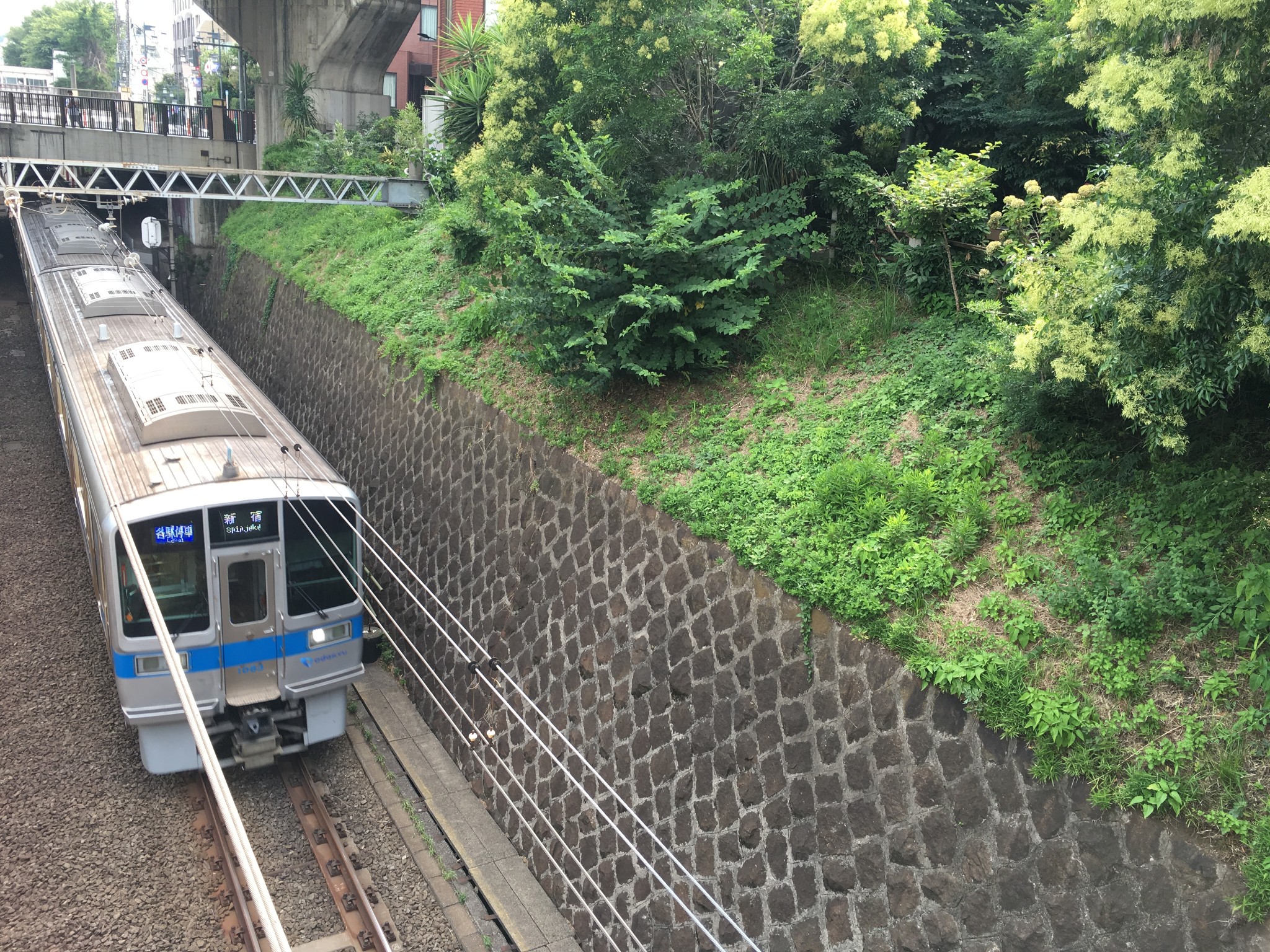 東京自助遊攻略