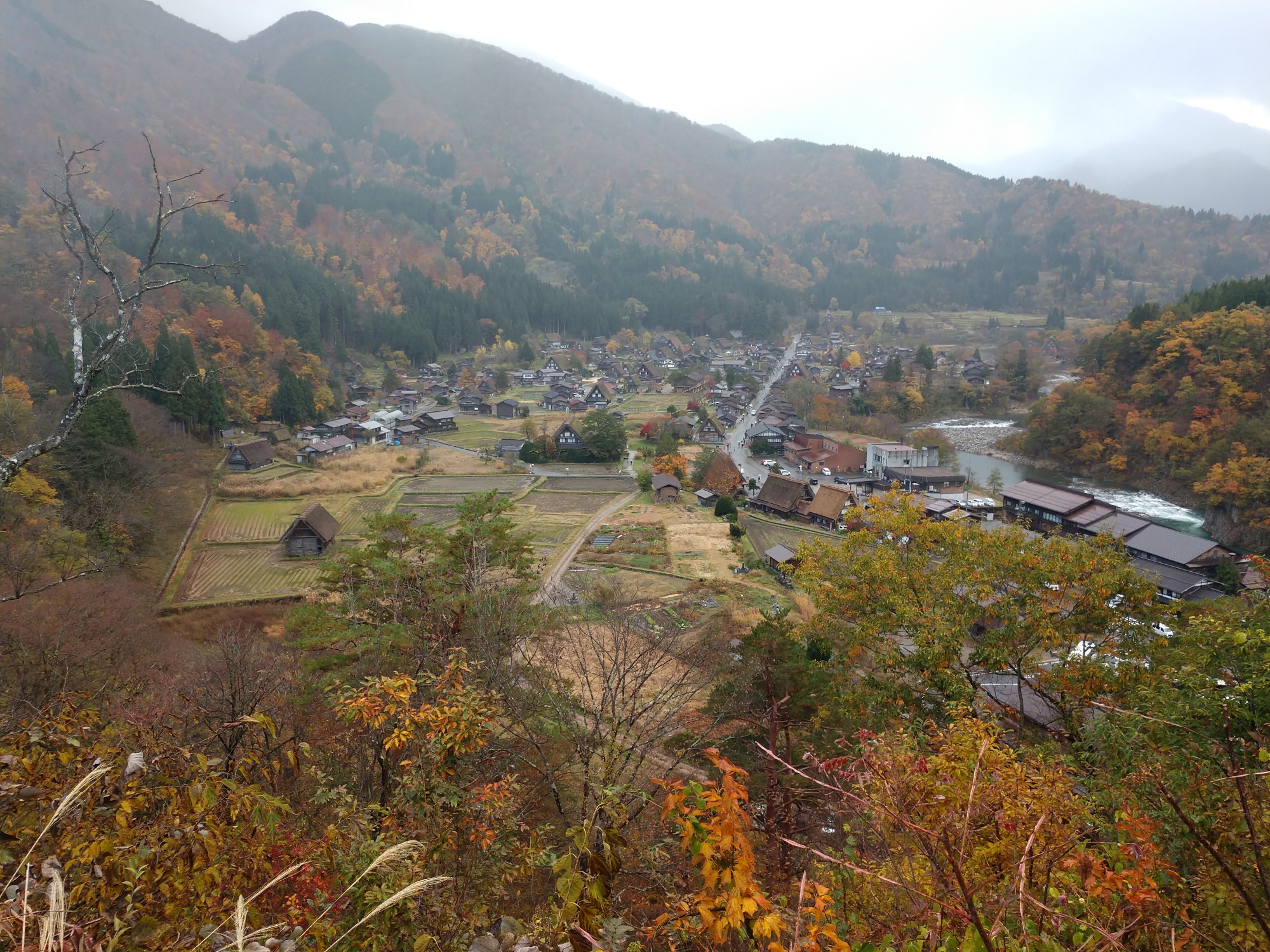 名古屋自助遊攻略