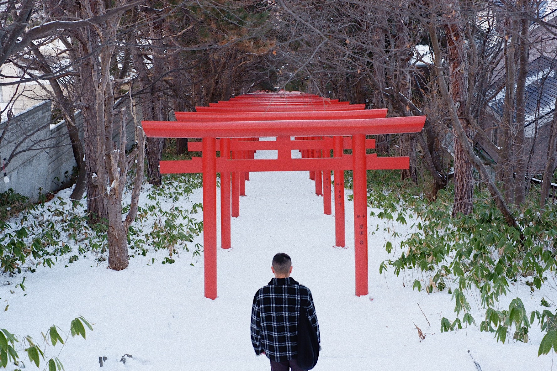 北海道自助遊攻略