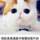 Li pu