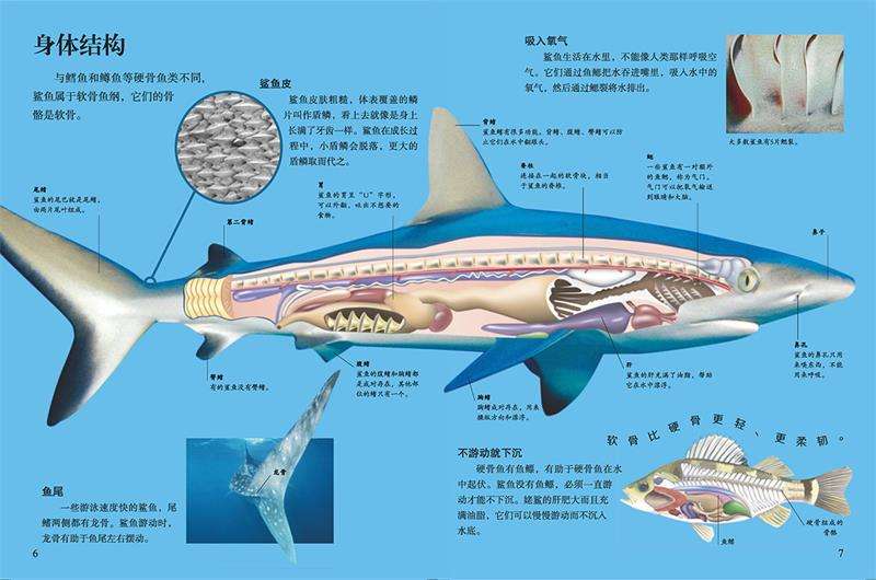 名古屋自助遊攻略