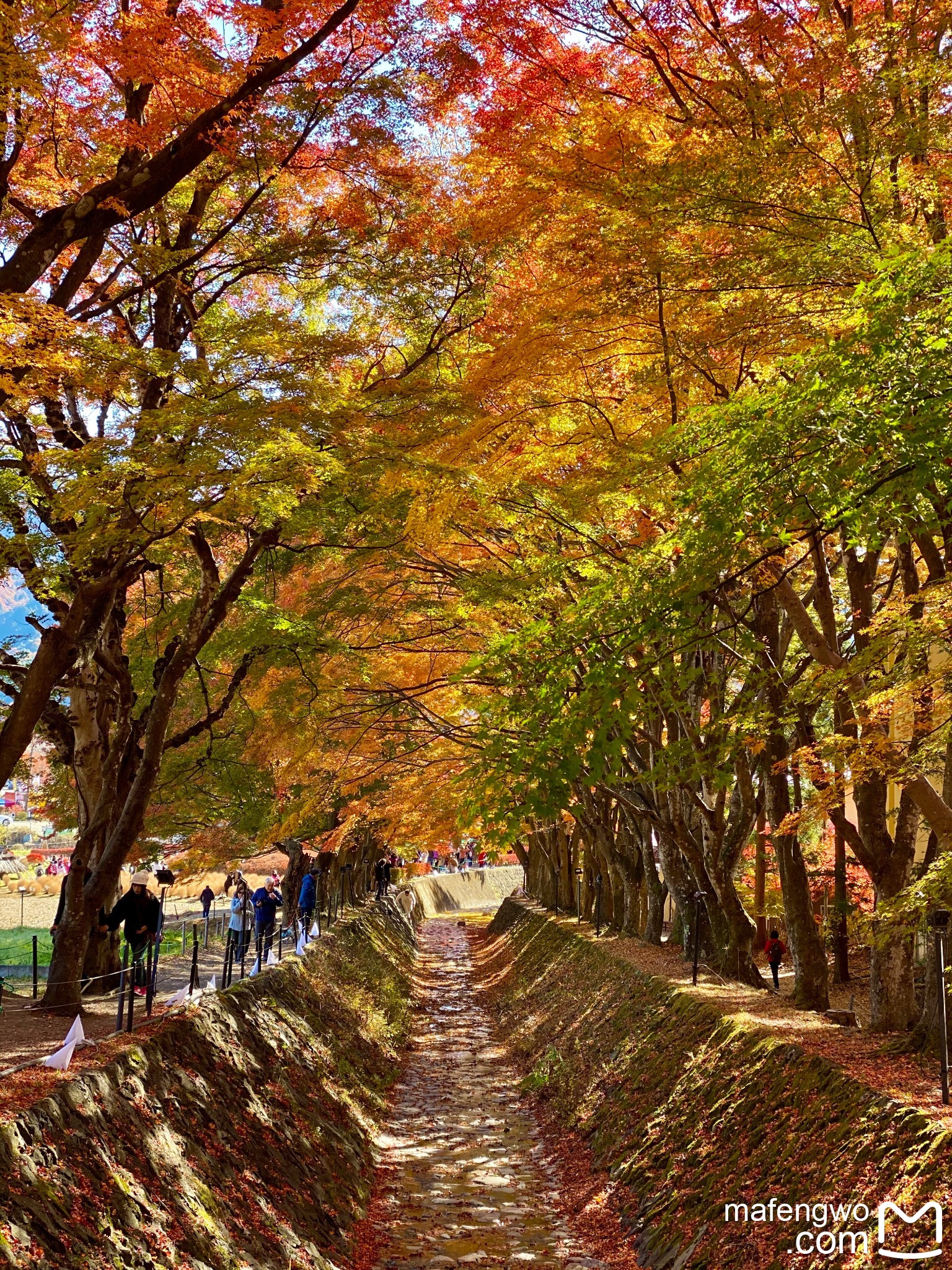 富士山自助遊攻略