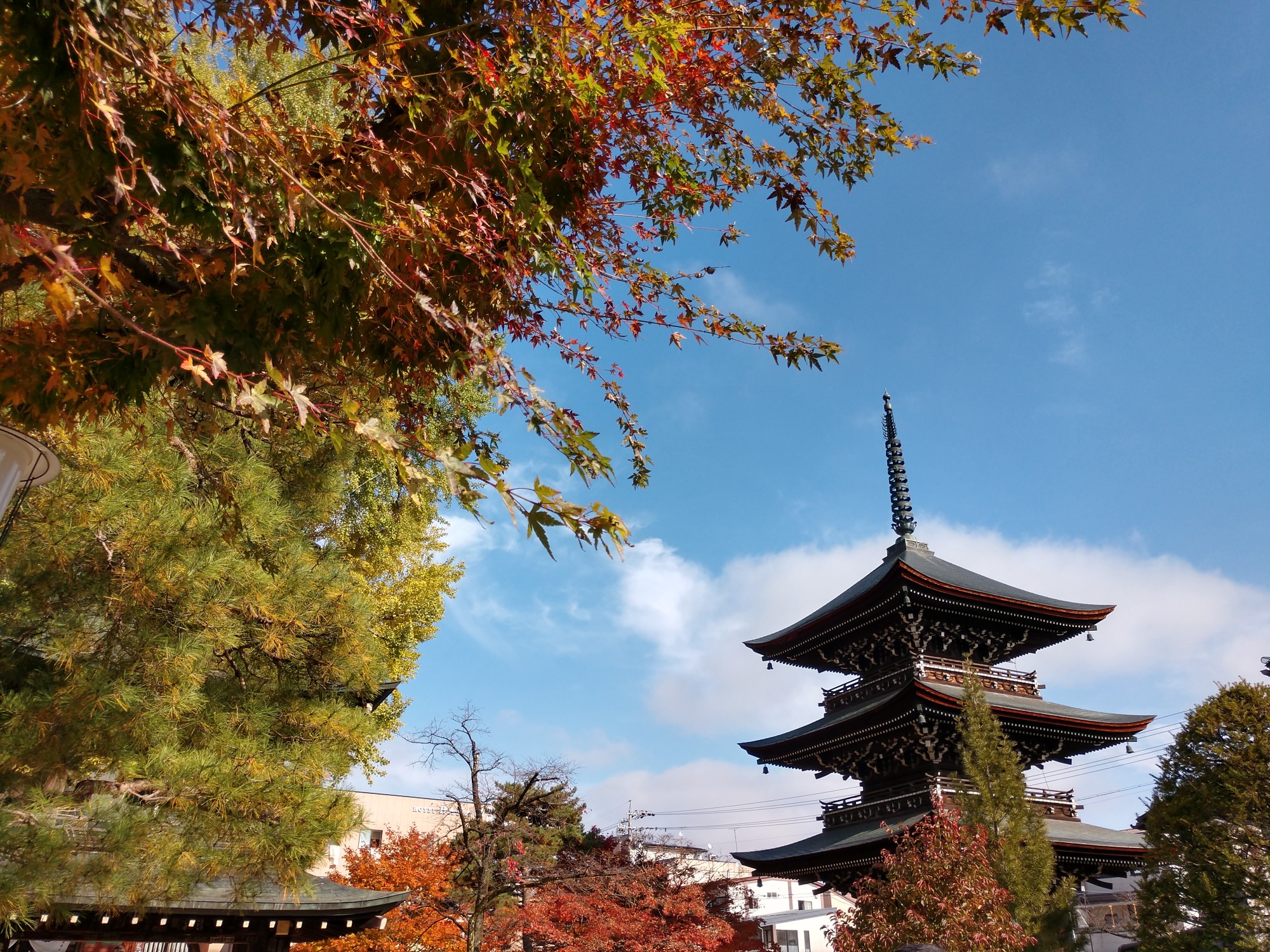 名古屋自助遊攻略