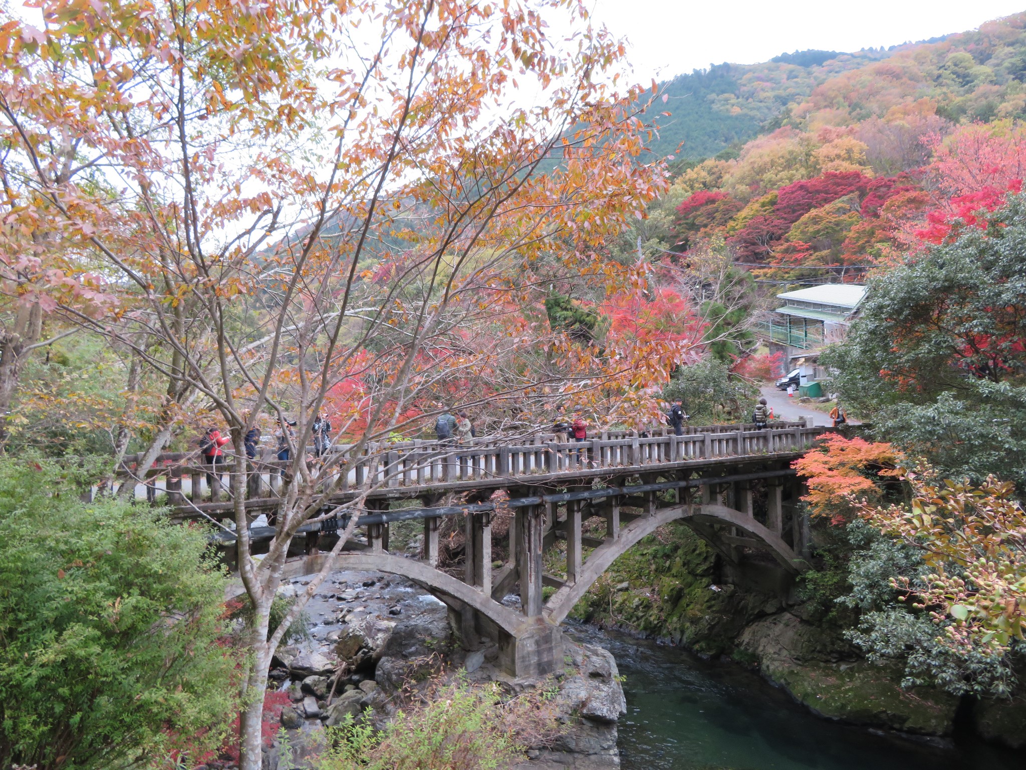 京都自助遊攻略