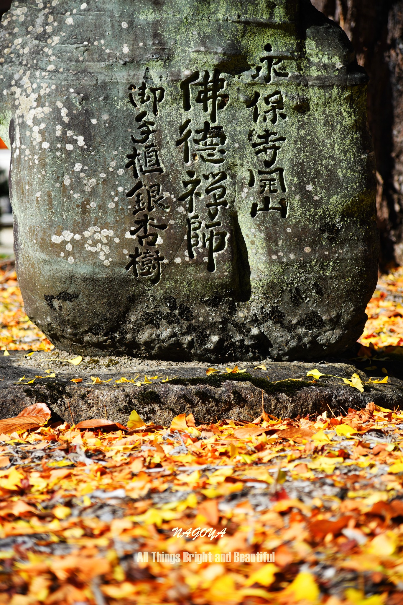 名古屋自助遊攻略