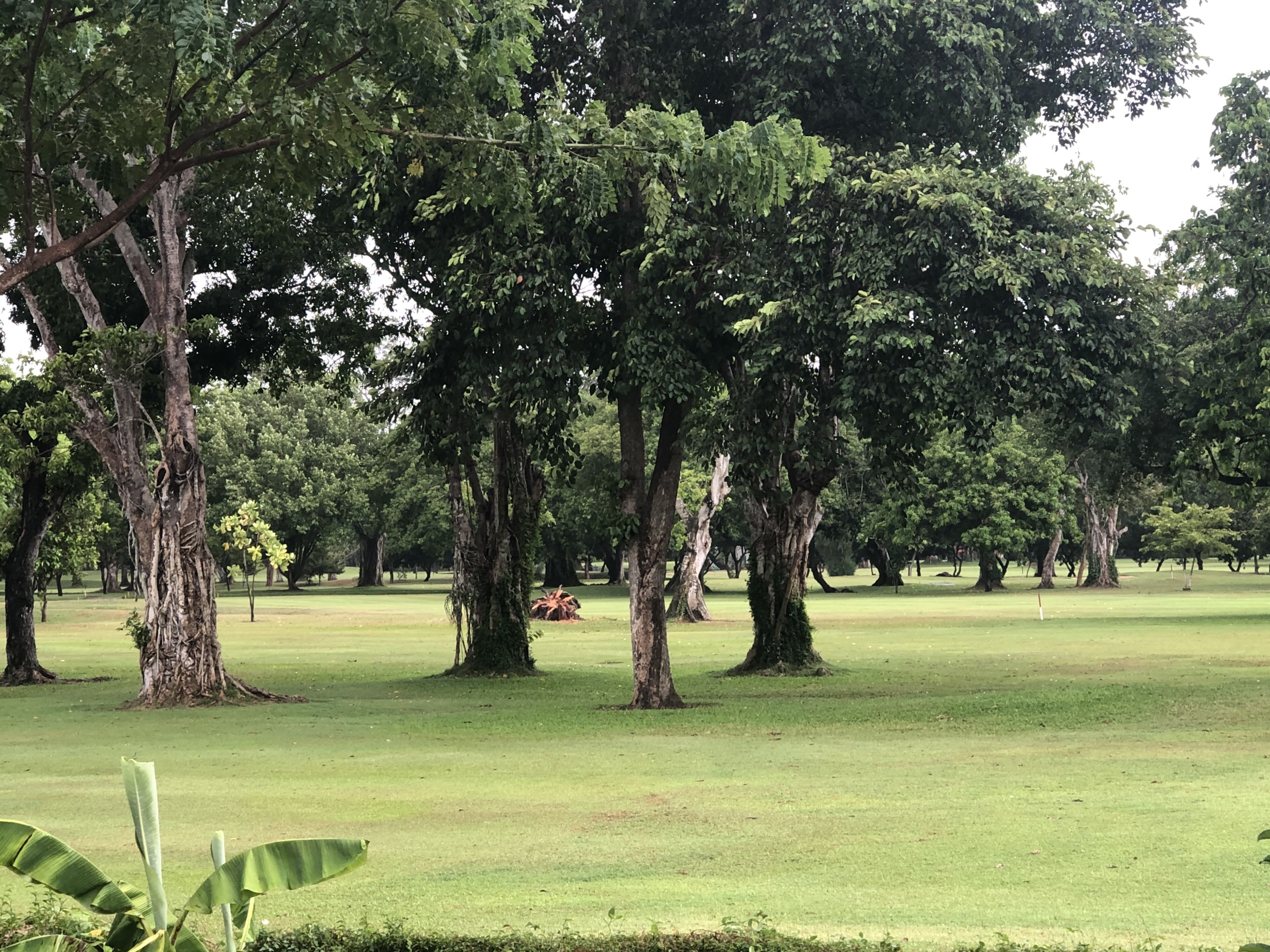 登巴萨娱乐-Bali Beach Golf Course