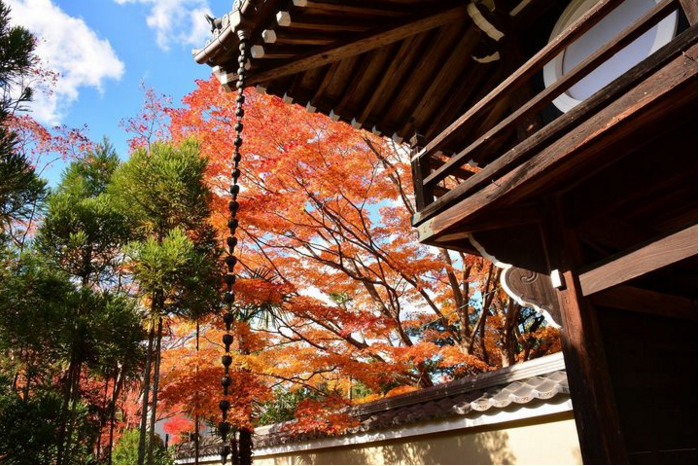 日常佛系京都的绝美寺院10选 马蜂窝