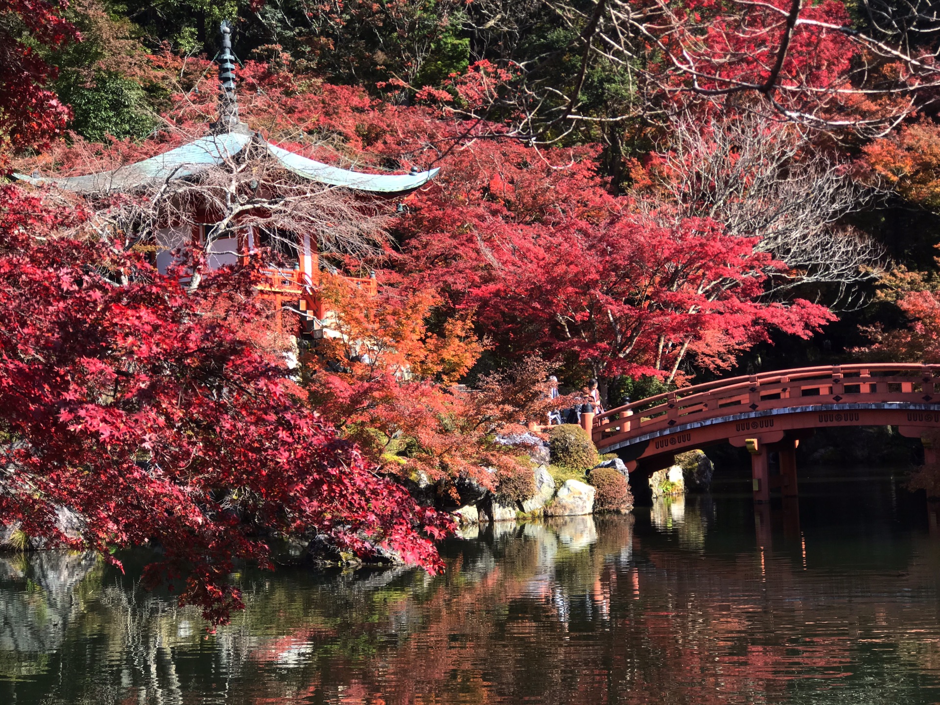 京都自助遊攻略