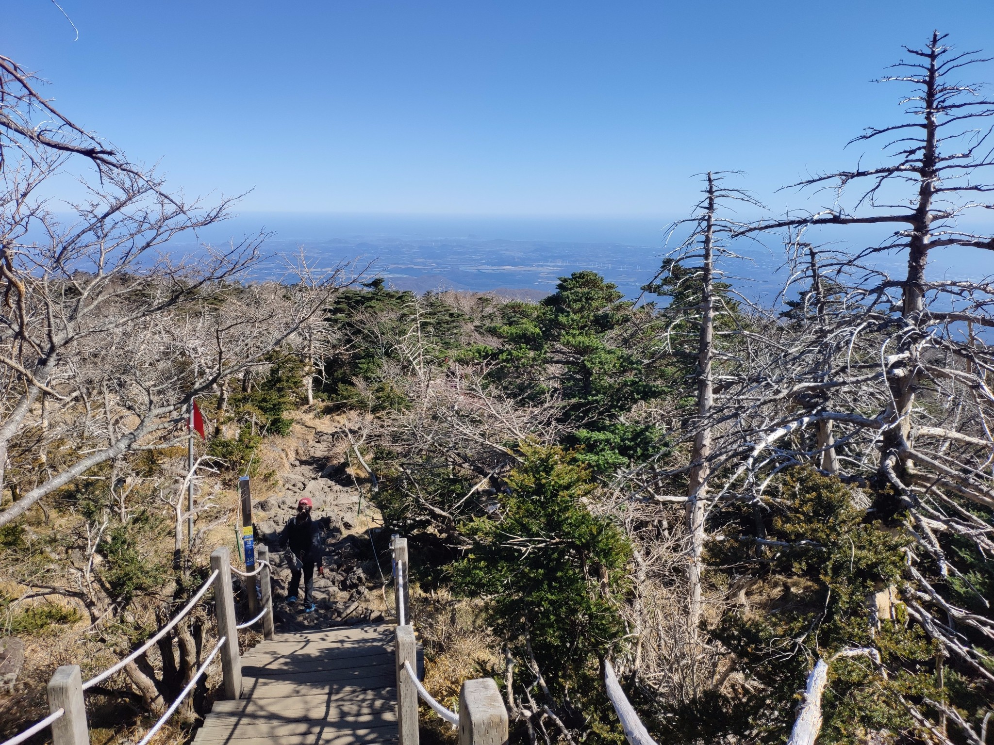 濟州島自助遊攻略