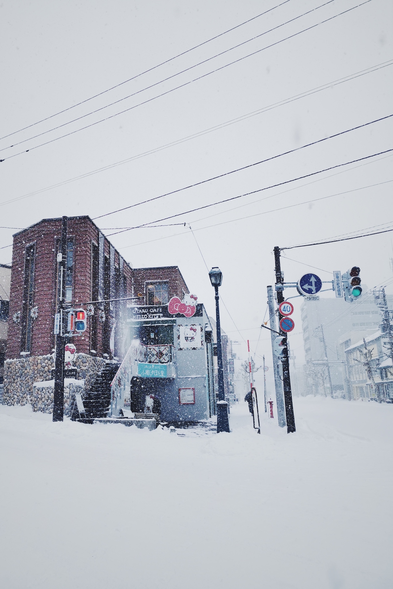 北海道自助遊攻略