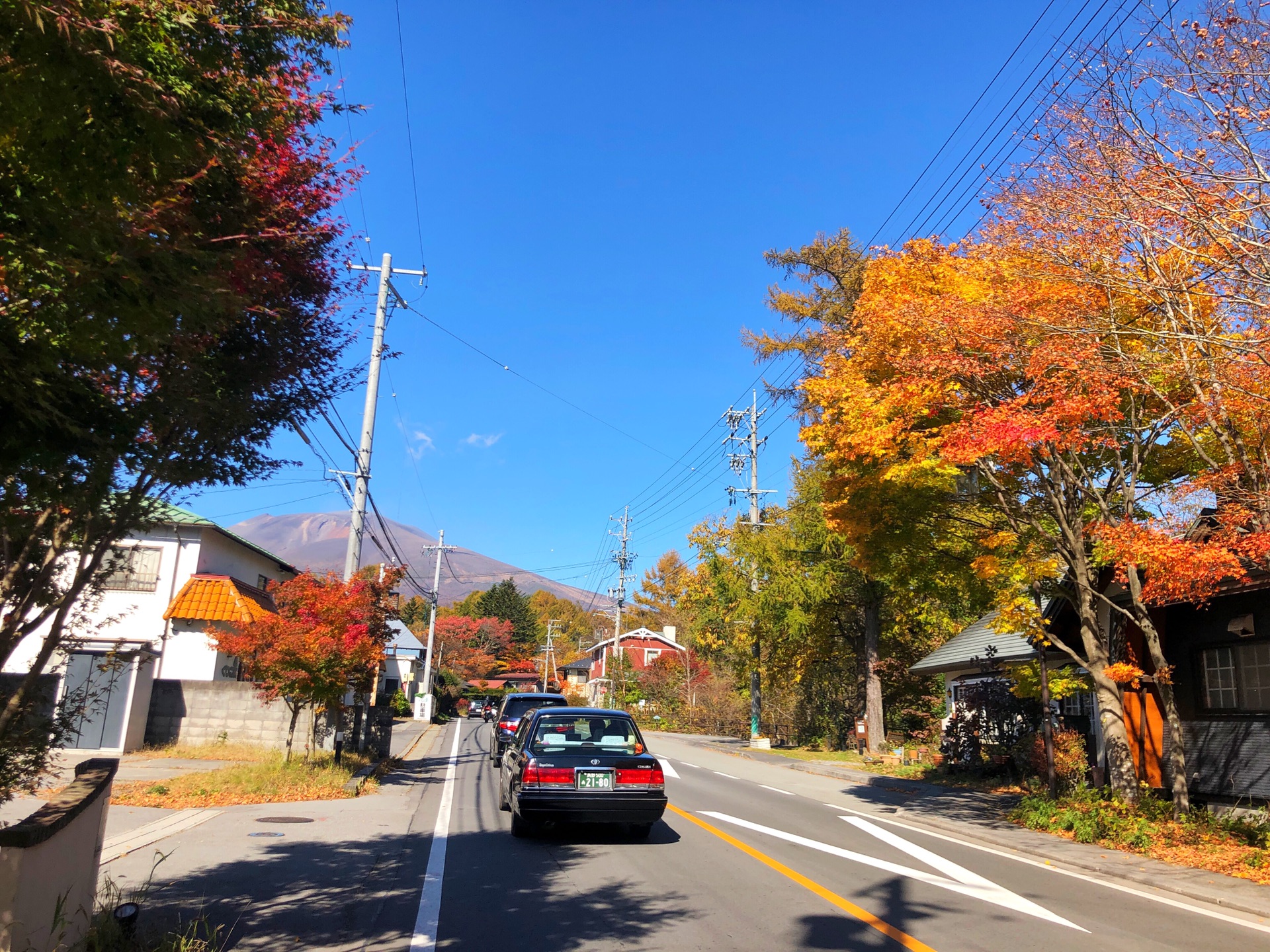 東京自助遊攻略