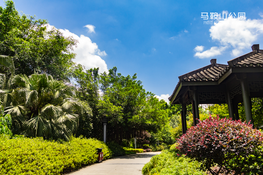 【波博的旅程】风情柳州,千韵龙城