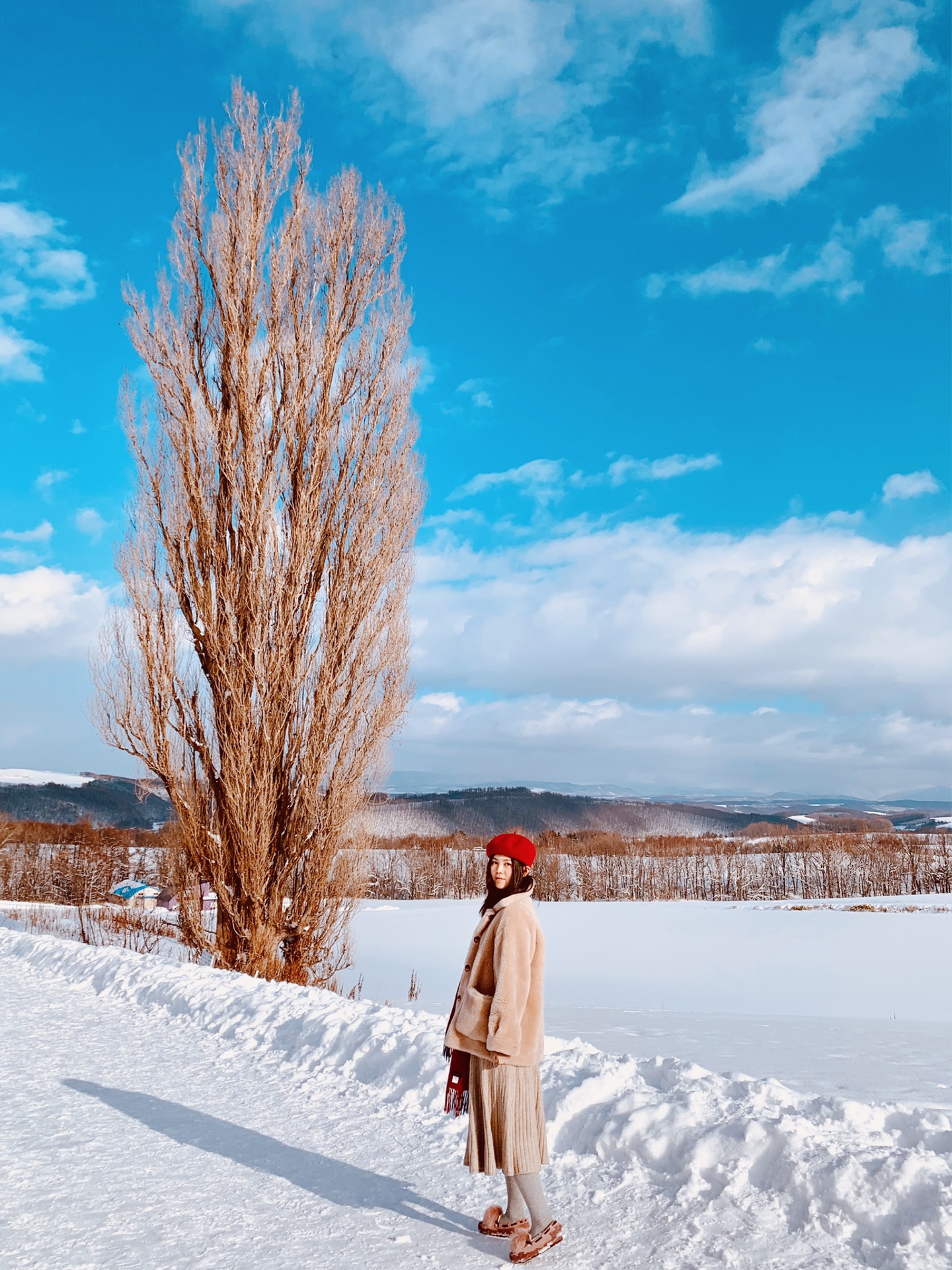 北海道自助遊攻略