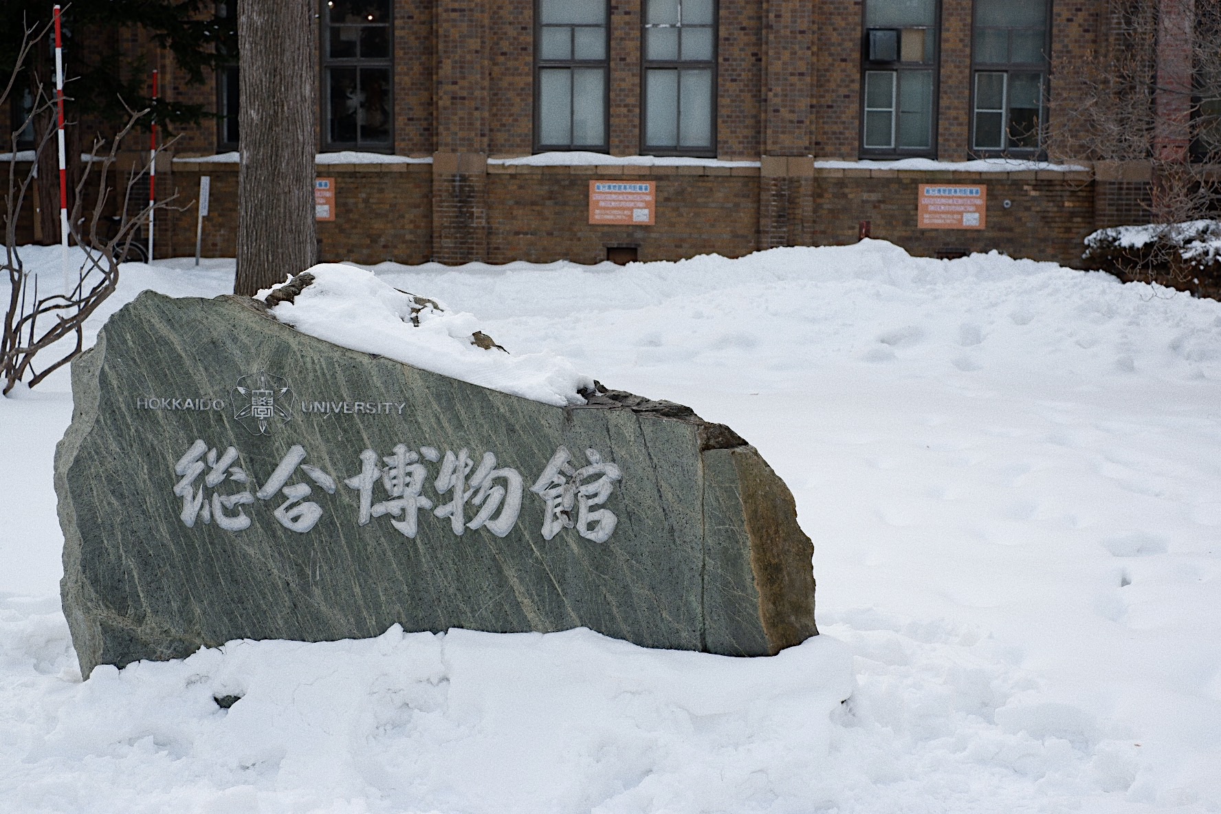 北海道自助遊攻略