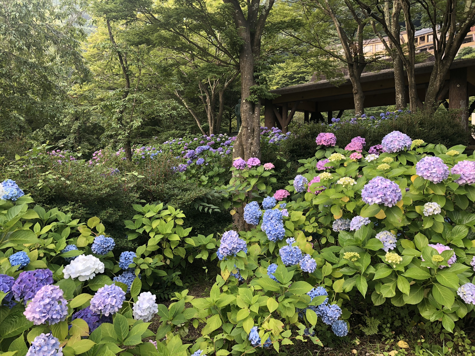 東京自助遊攻略