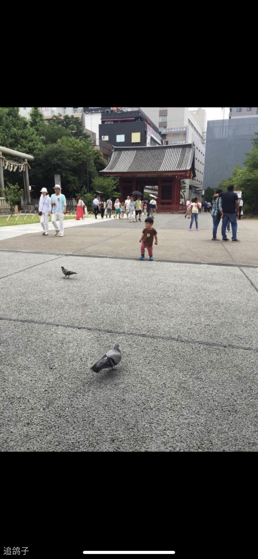 東京自助遊攻略