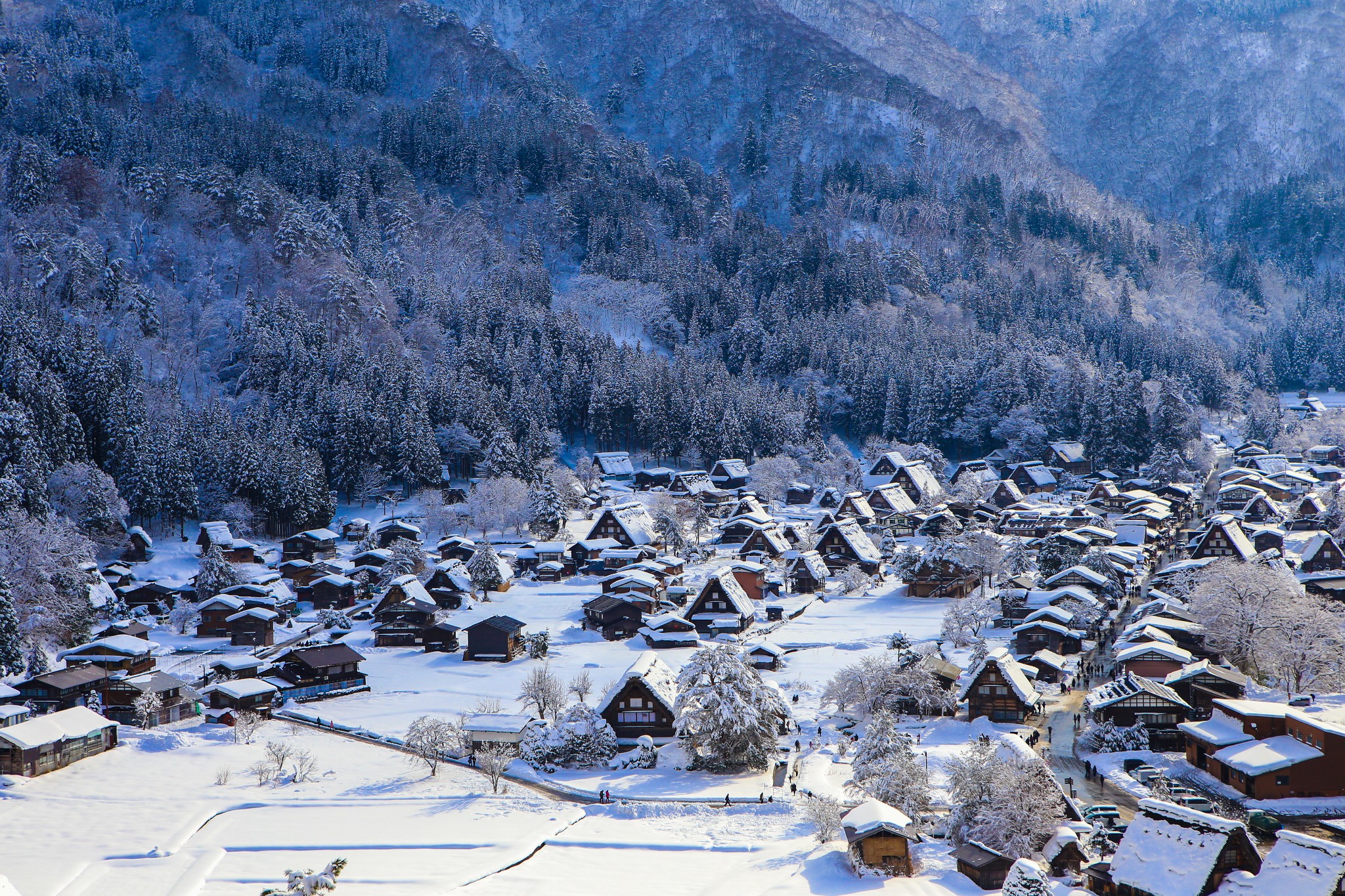 白川乡的雪季