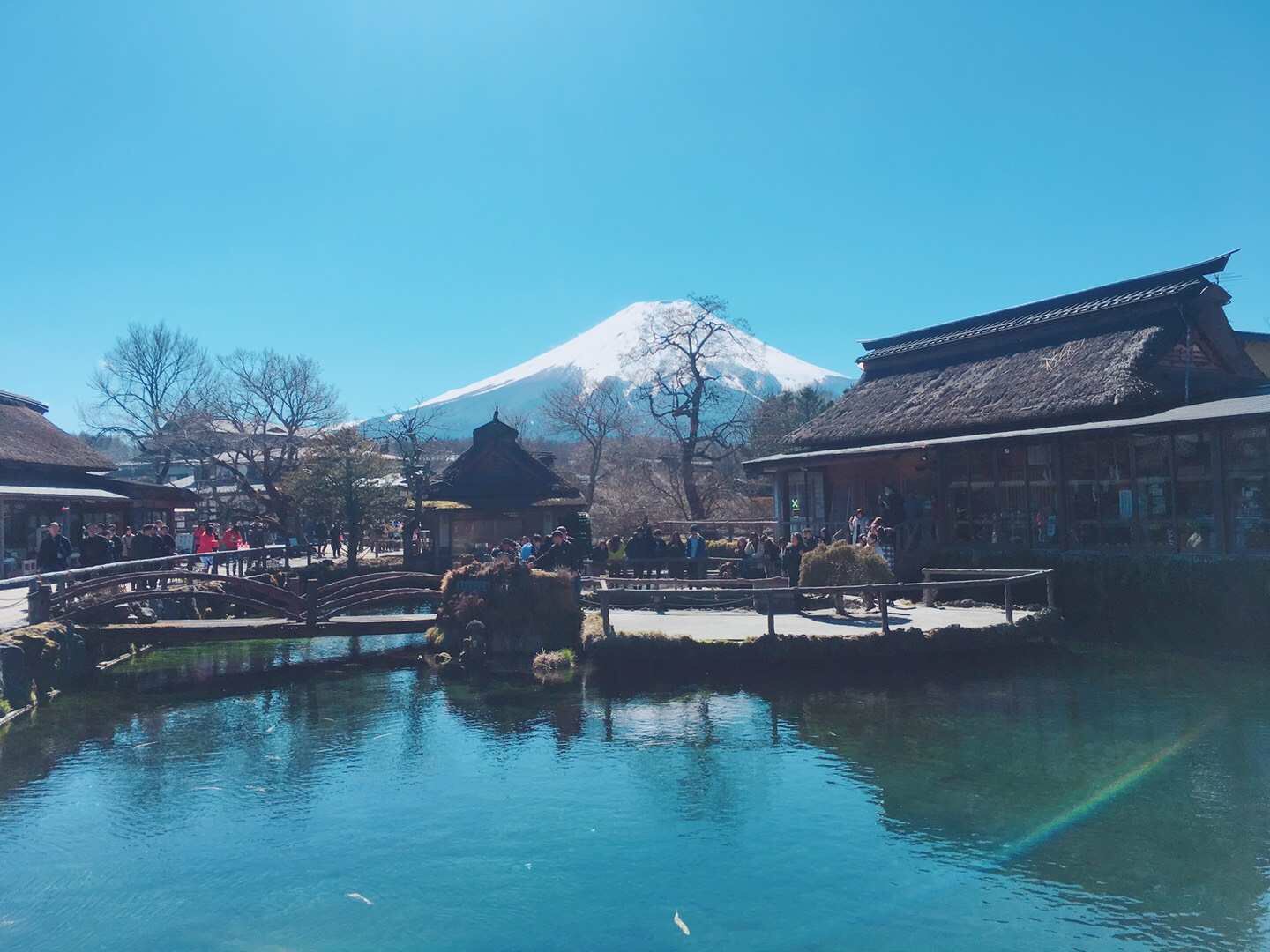 東京自助遊攻略