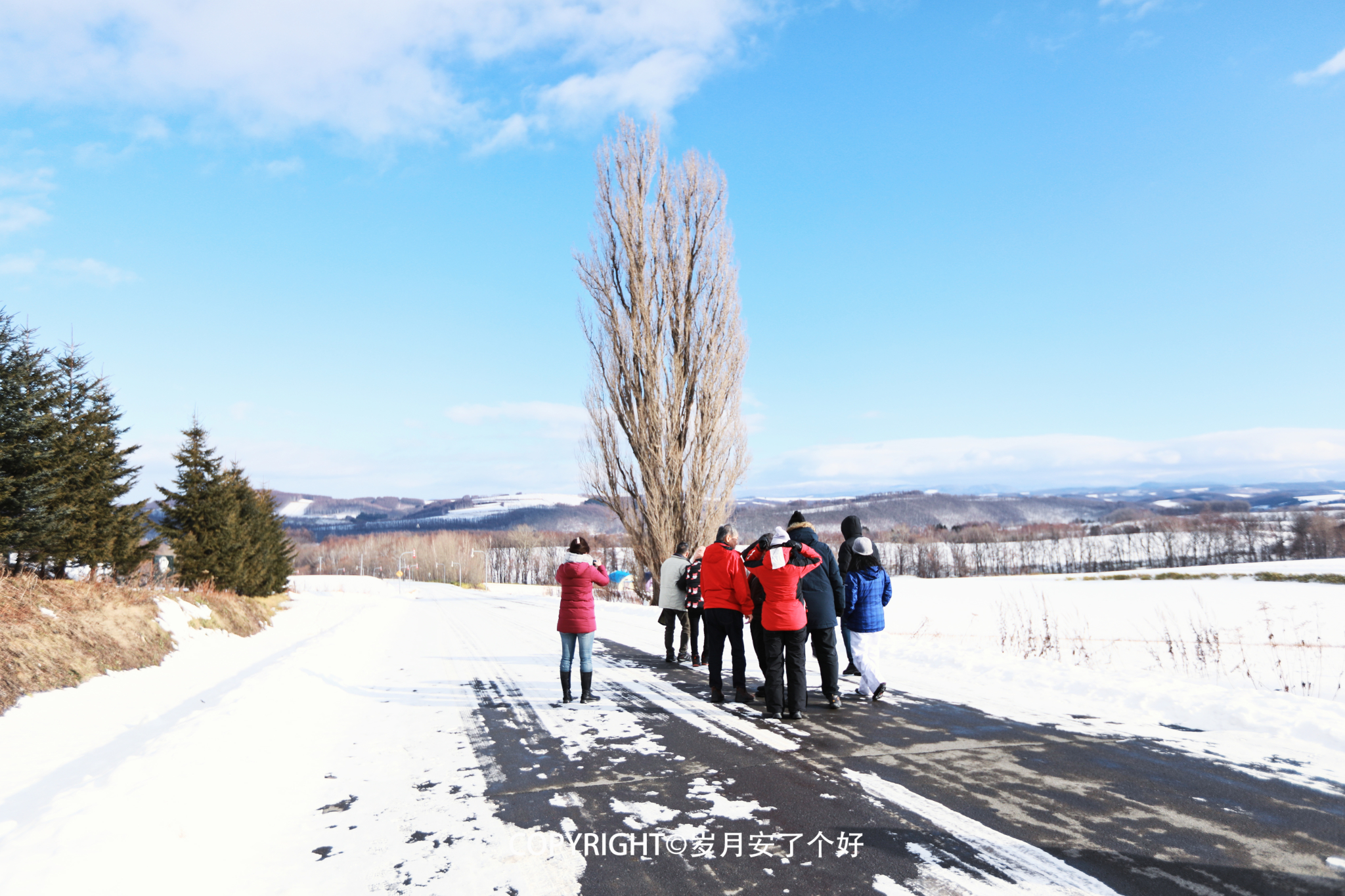 北海道自助遊攻略