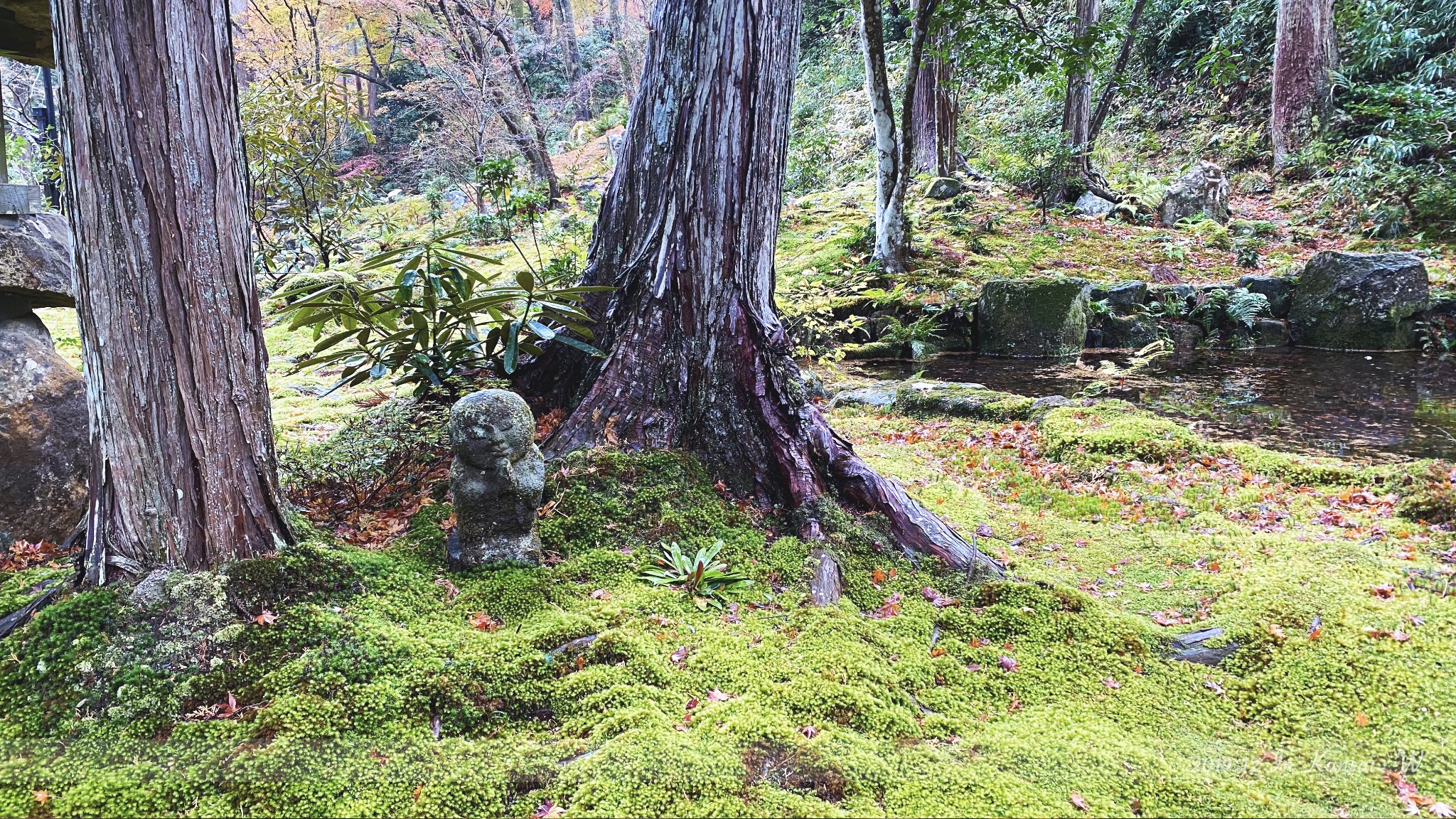 京都自助遊攻略