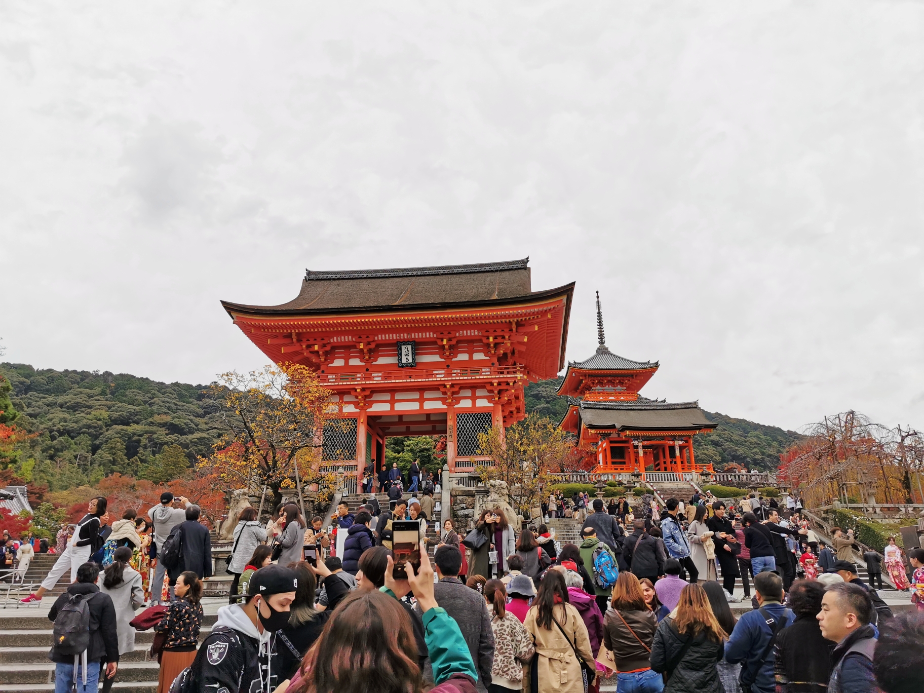 京都自助遊攻略