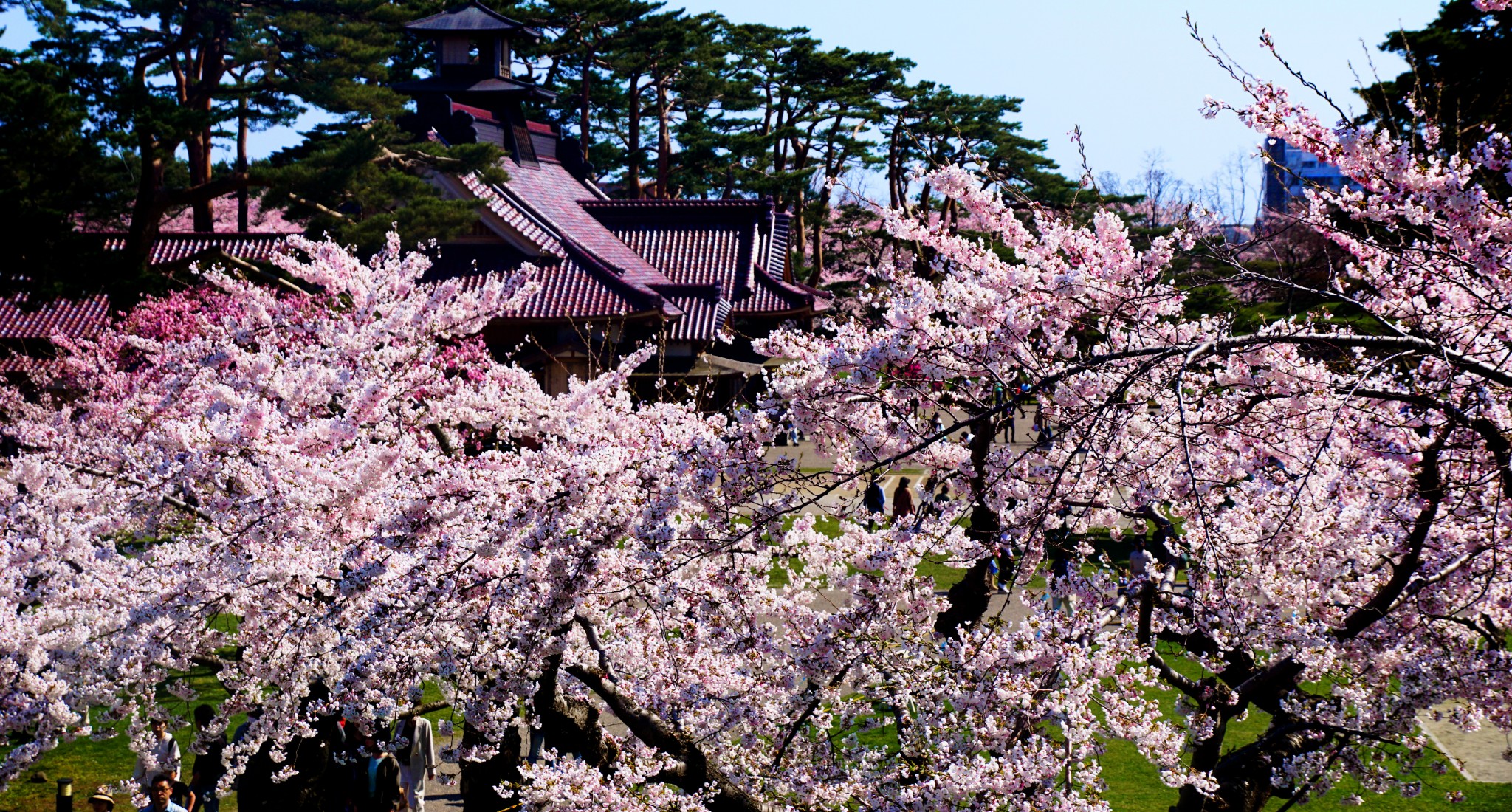 北海道自助遊攻略