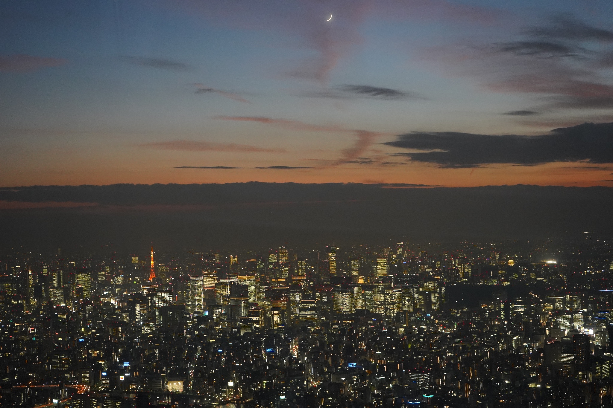 東京自助遊攻略