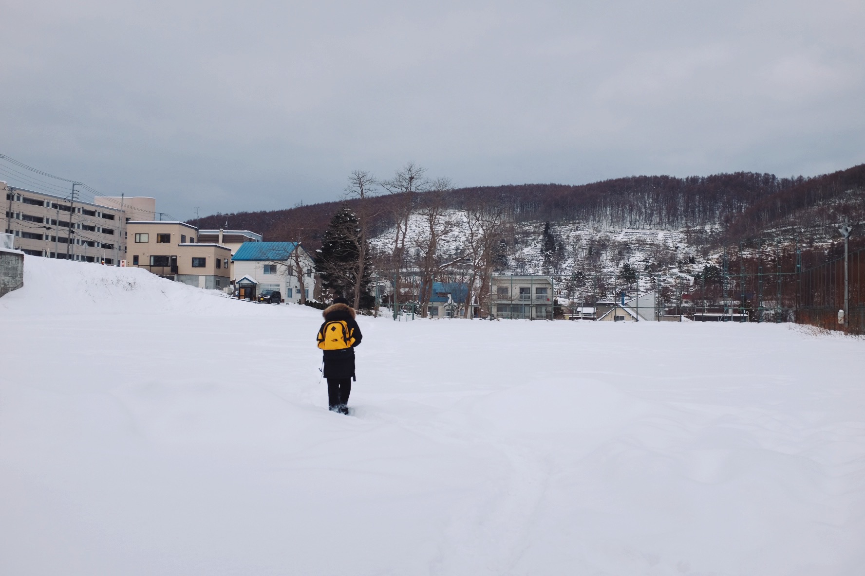 北海道自助遊攻略