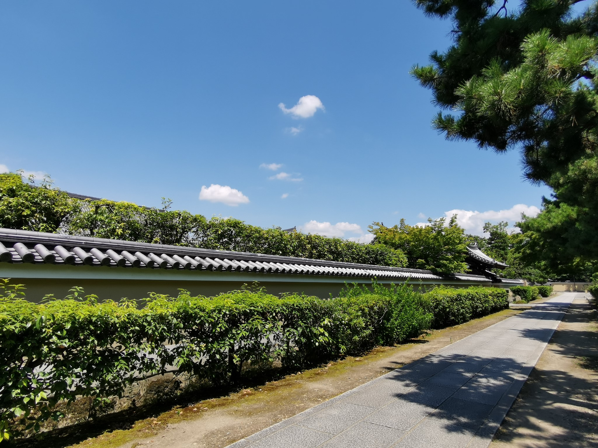 京都自助遊攻略