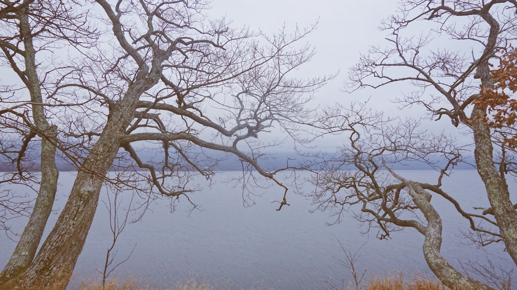 北海道自助遊攻略