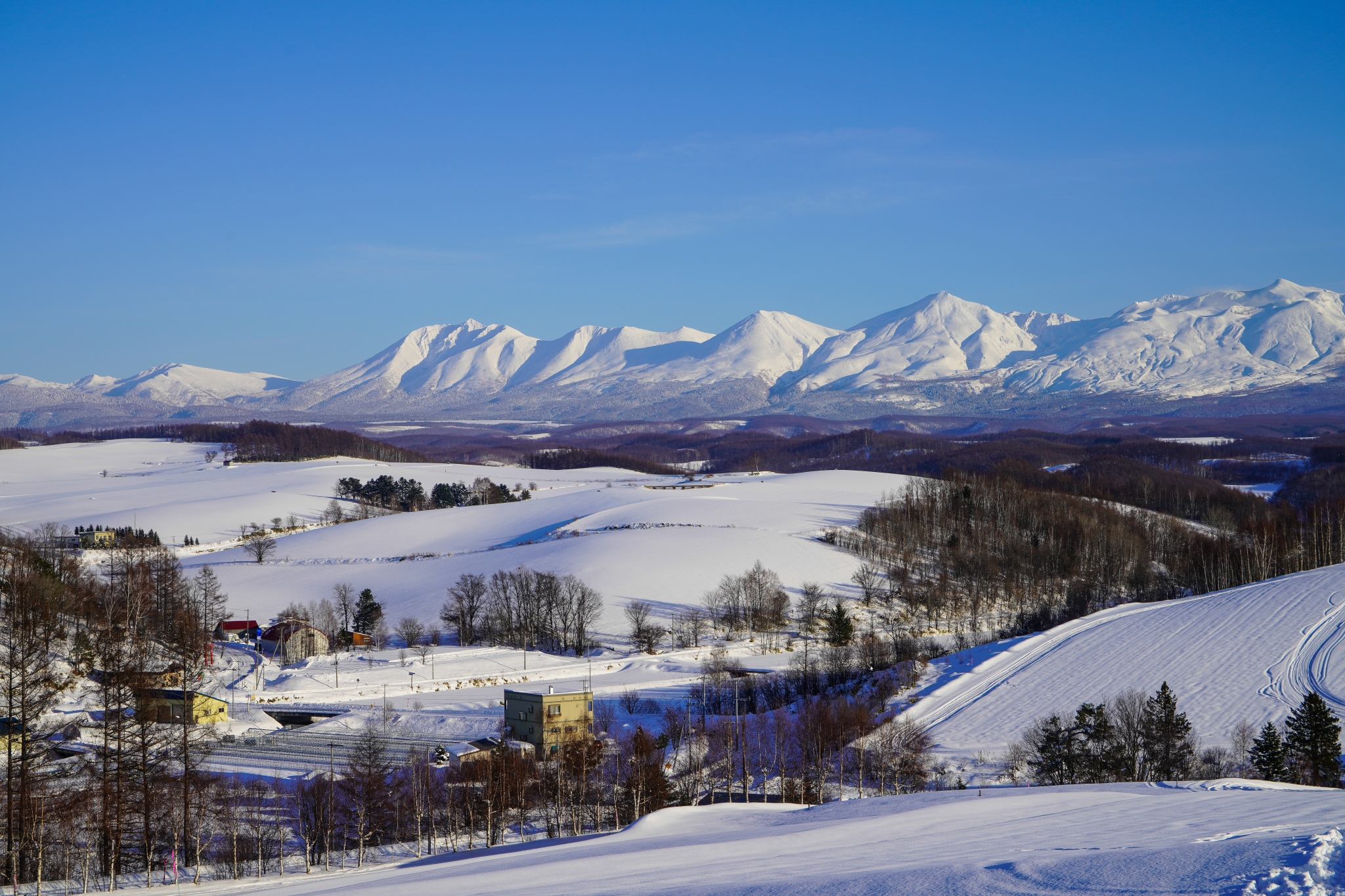 北海道自助遊攻略