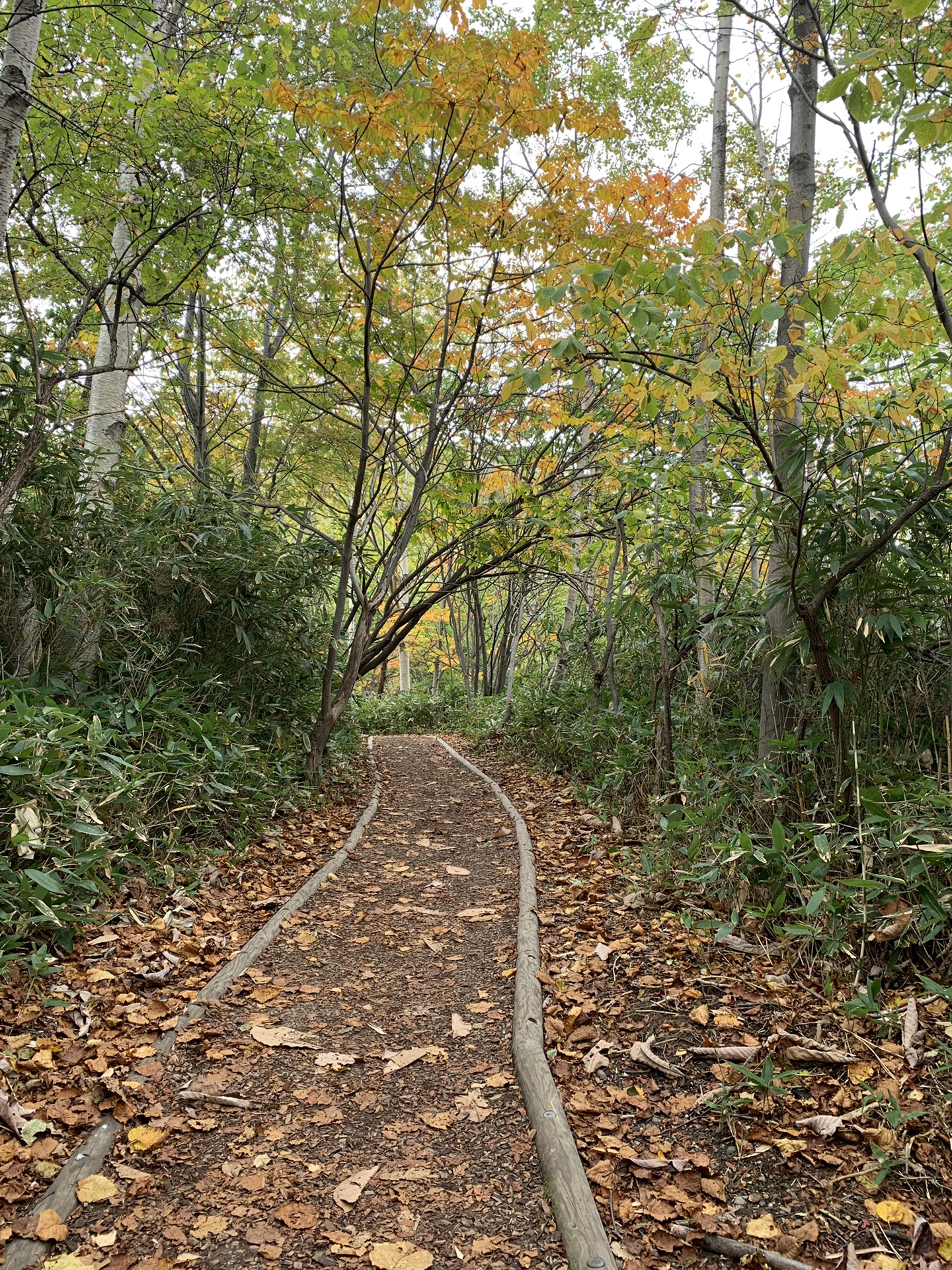 北海道自助遊攻略