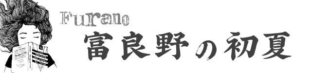 北海道自助遊攻略