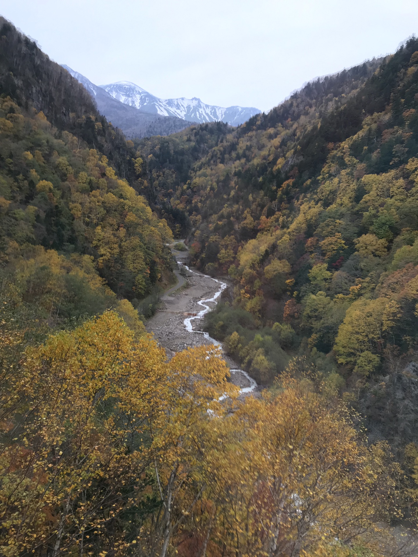 北海道自助遊攻略